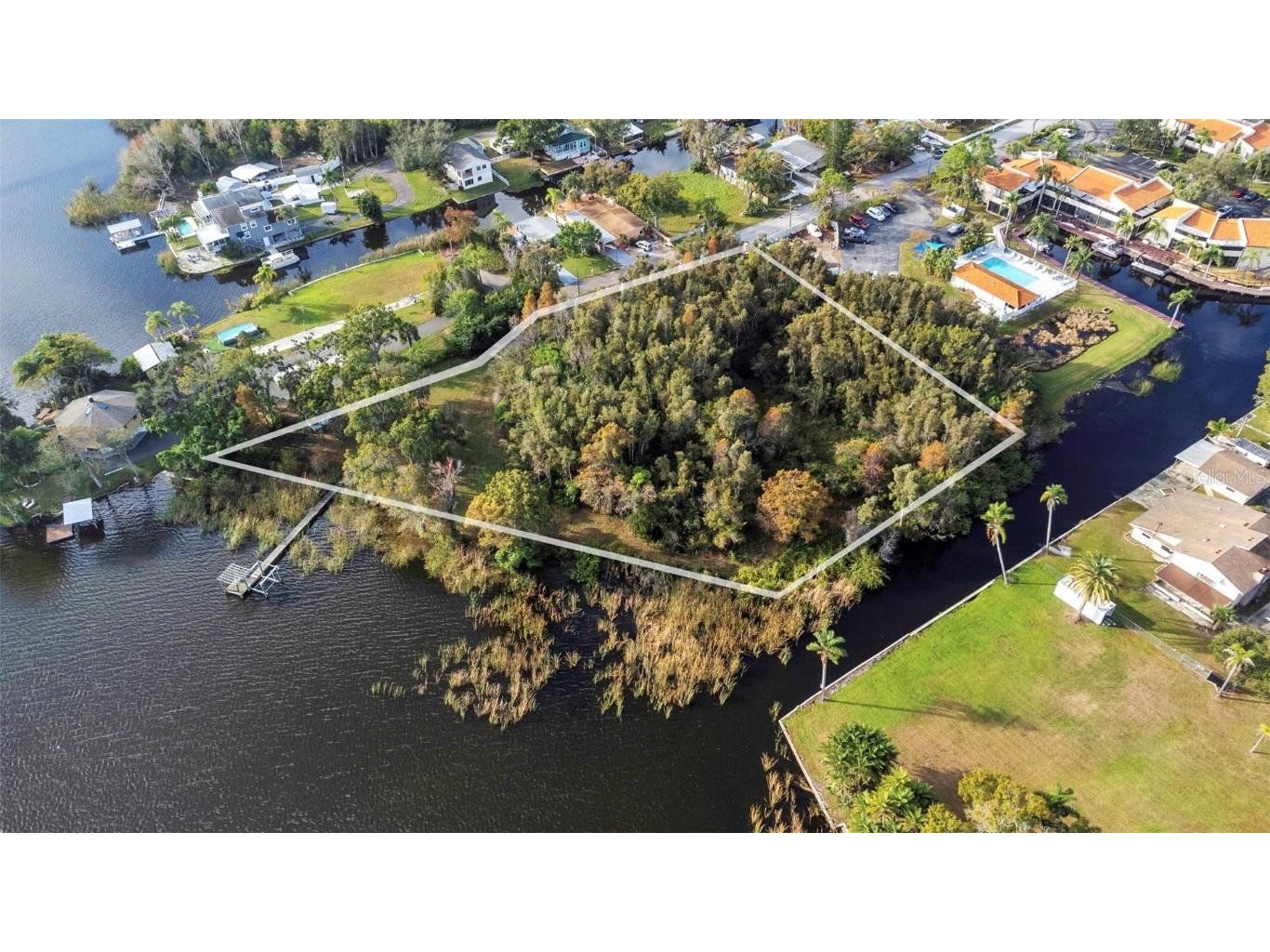 2661 Cyprus Drive Palm Harbor FL 34684 TB8458877 image4