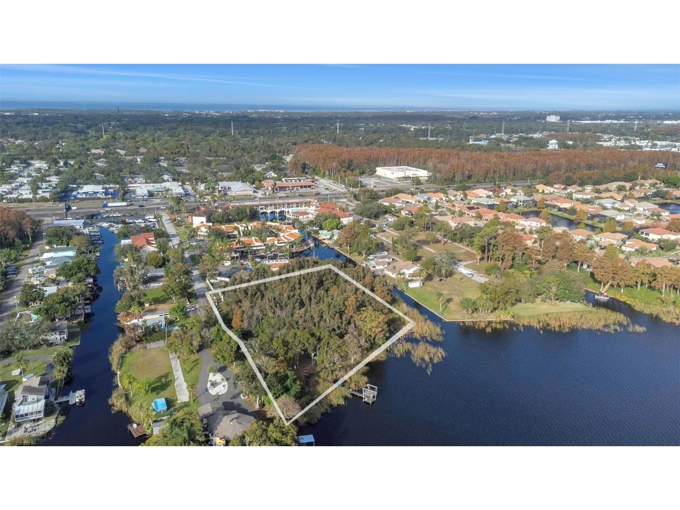 2661 Cyprus Drive Palm Harbor FL 34684 TB8458877 image44