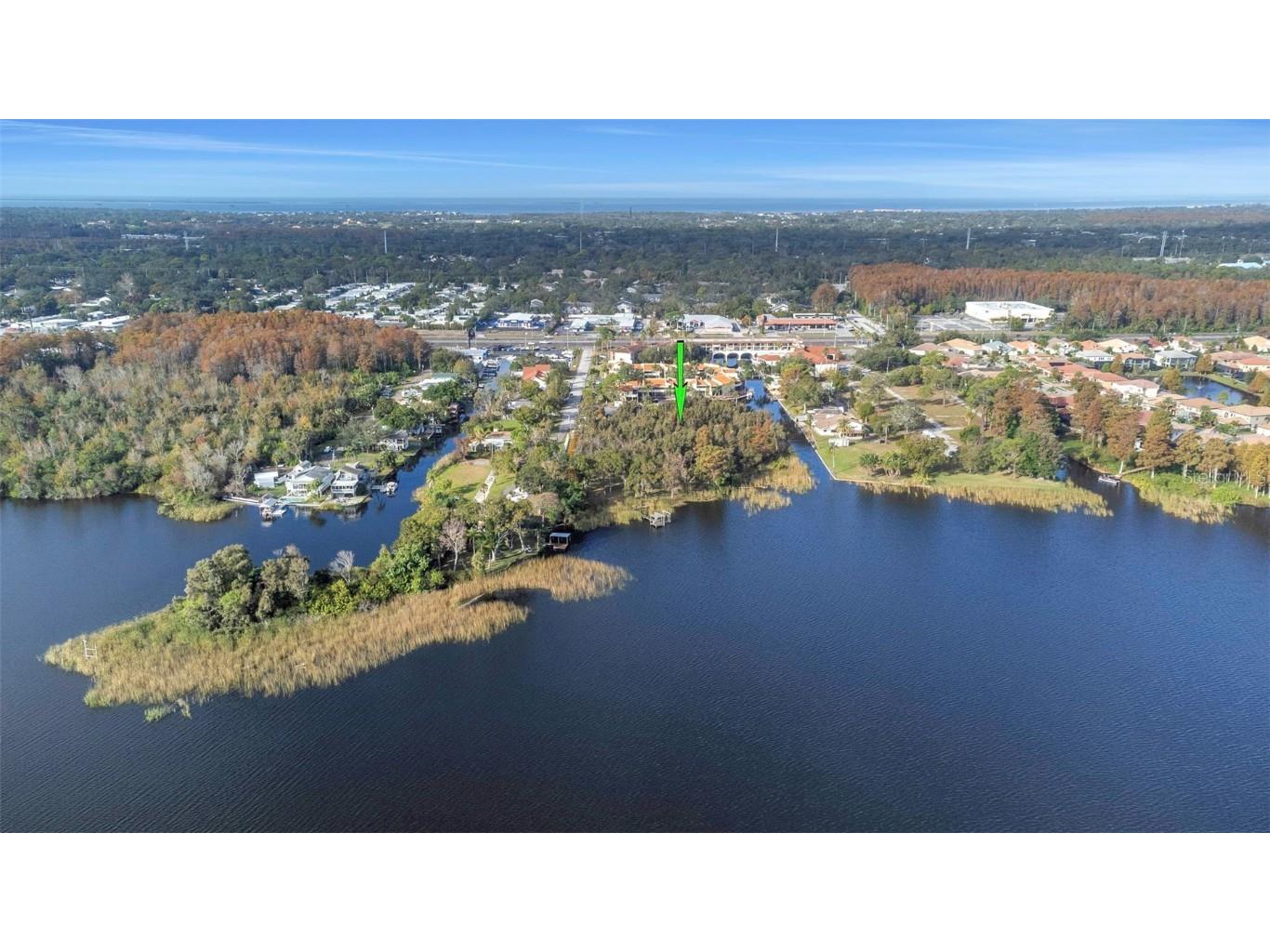 2661 Cyprus Drive Palm Harbor FL 34684 TB8458877 image45