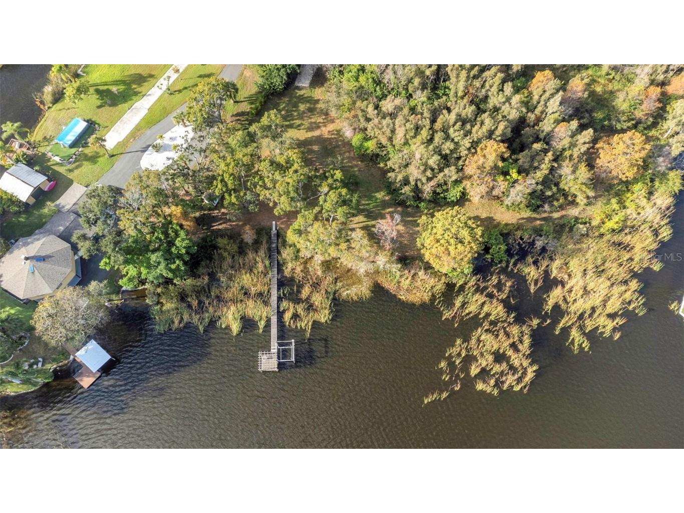 2661 Cyprus Drive Palm Harbor FL 34684 TB8458877 image47