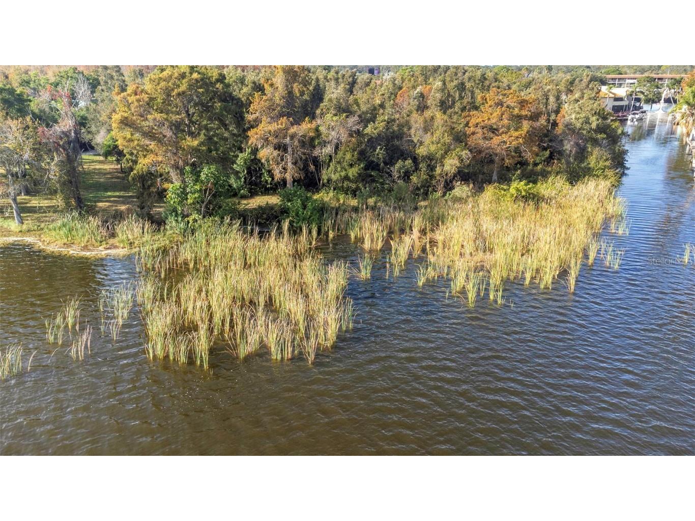 2661 Cyprus Drive Palm Harbor FL 34684 TB8458877 image48