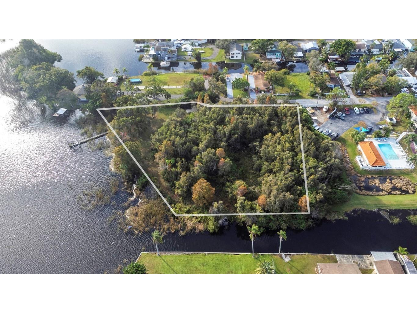 2661 Cyprus Drive Palm Harbor FL 34684 TB8458877 image7