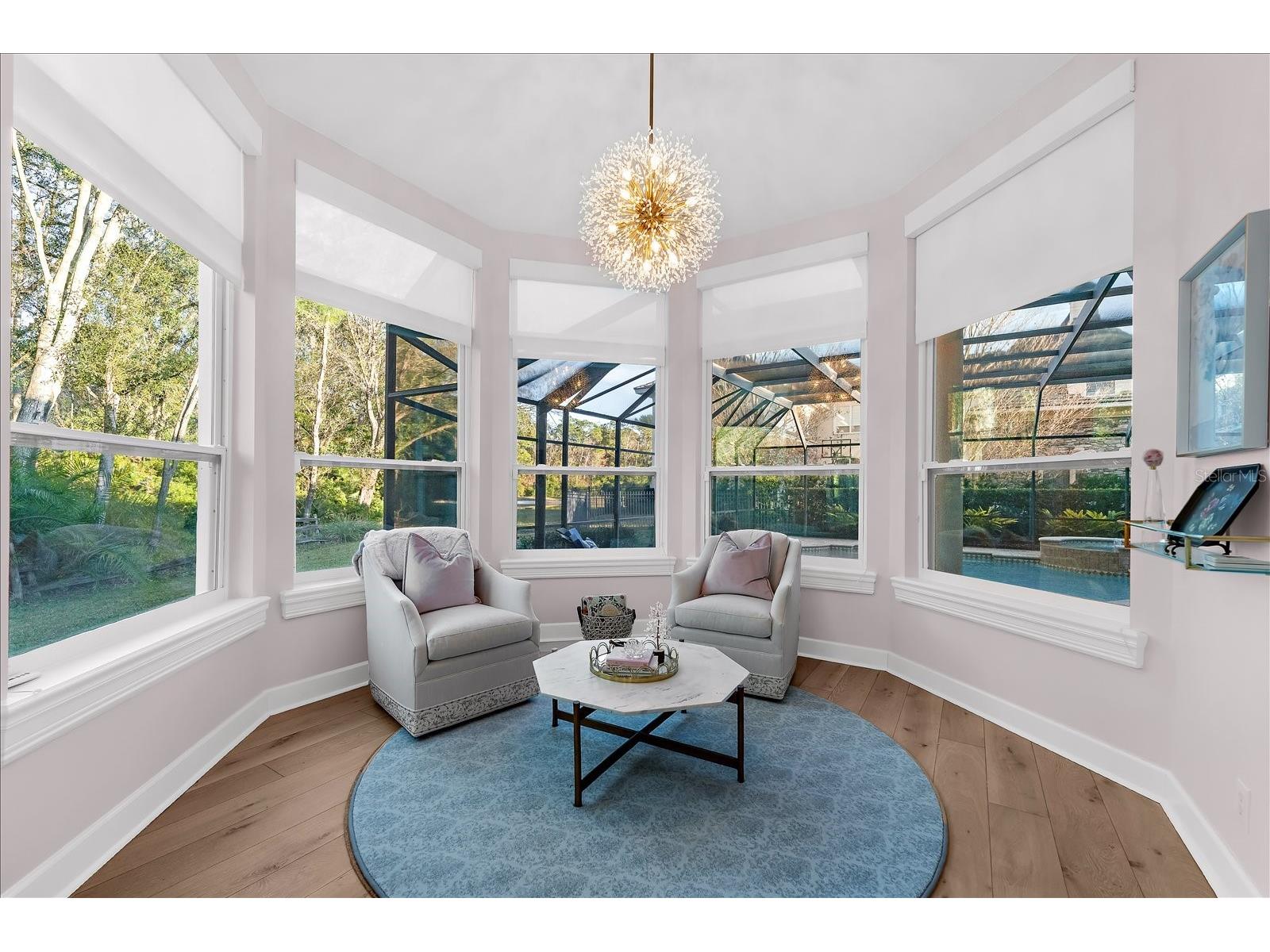 2661 Hawks Landing Boulevard Palm Harbor FL 34685 TB8461339 image33