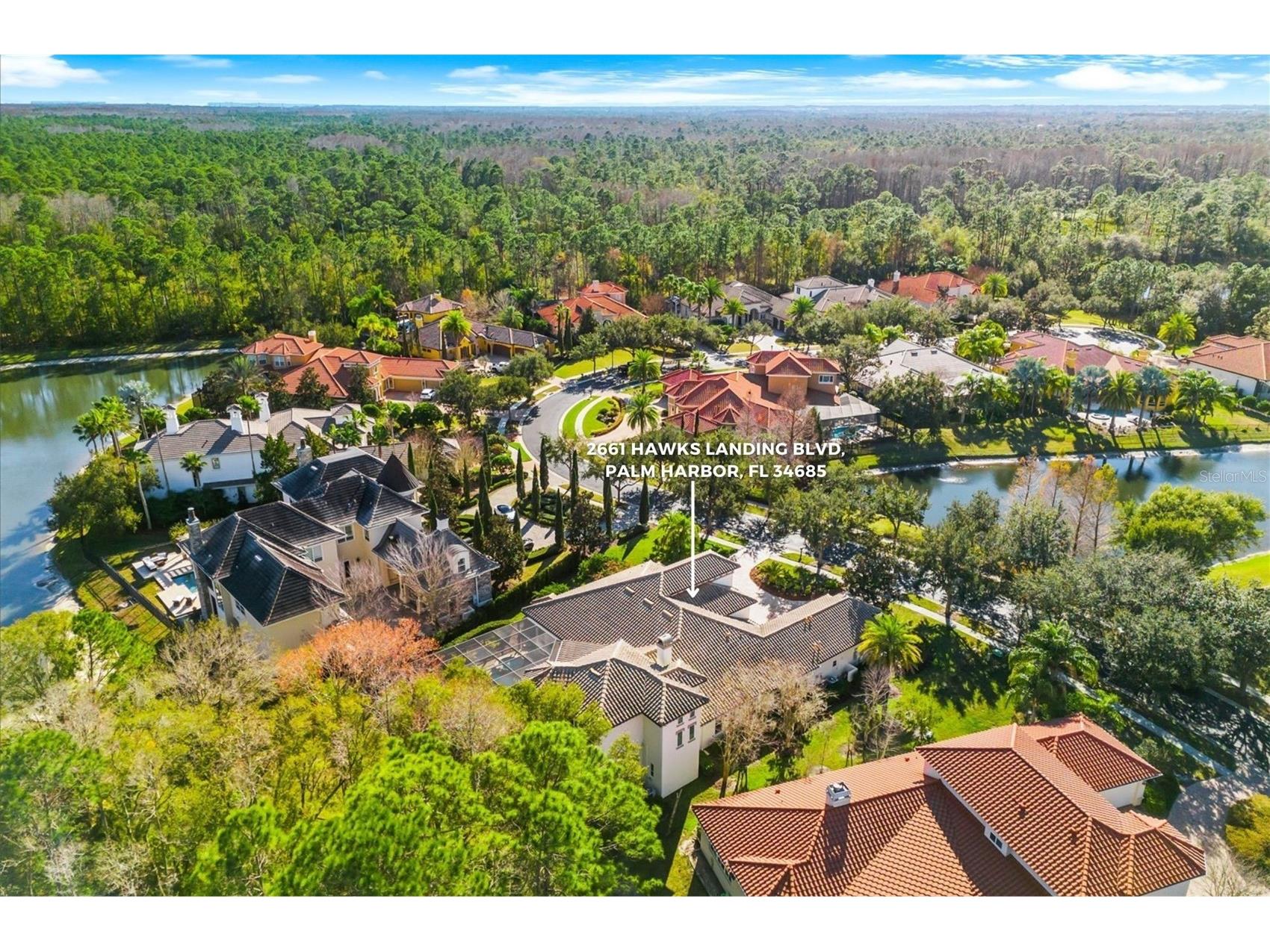 2661 Hawks Landing Boulevard Palm Harbor FL 34685 TB8461339 image71