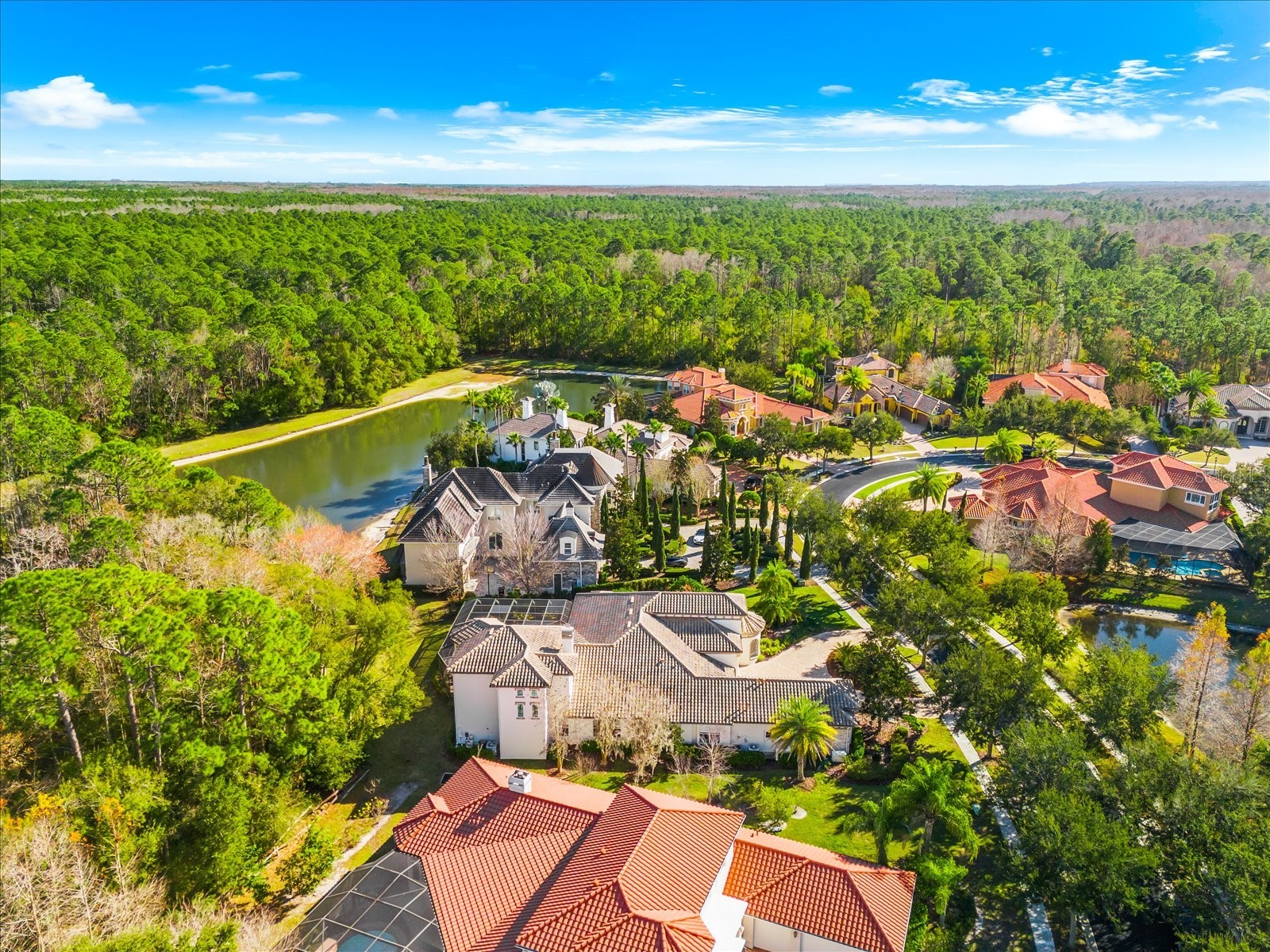 2661 Hawks Landing Boulevard Palm Harbor FL 34685 TB8461339 image72