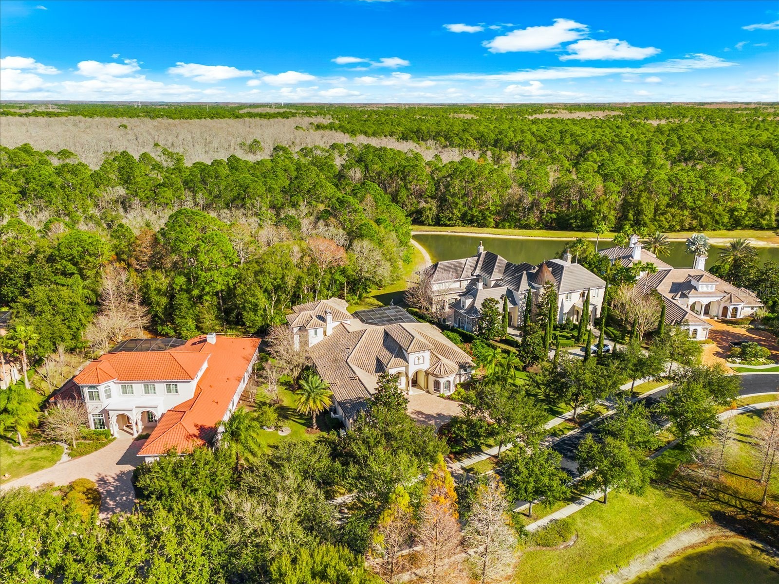 2661 Hawks Landing Boulevard Palm Harbor FL 34685 TB8461339 image73