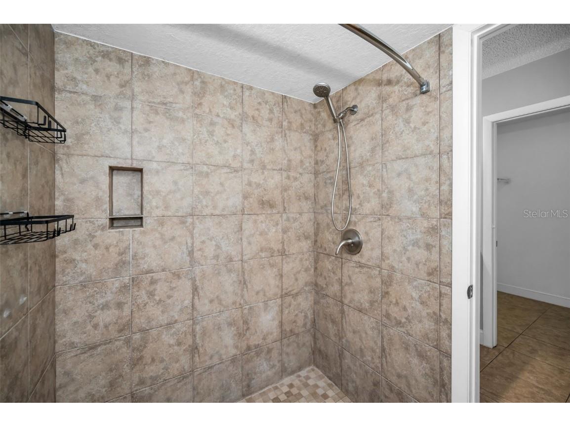 2661 Knoll Street E Palm Harbor FL 34683 TB8437036 image37