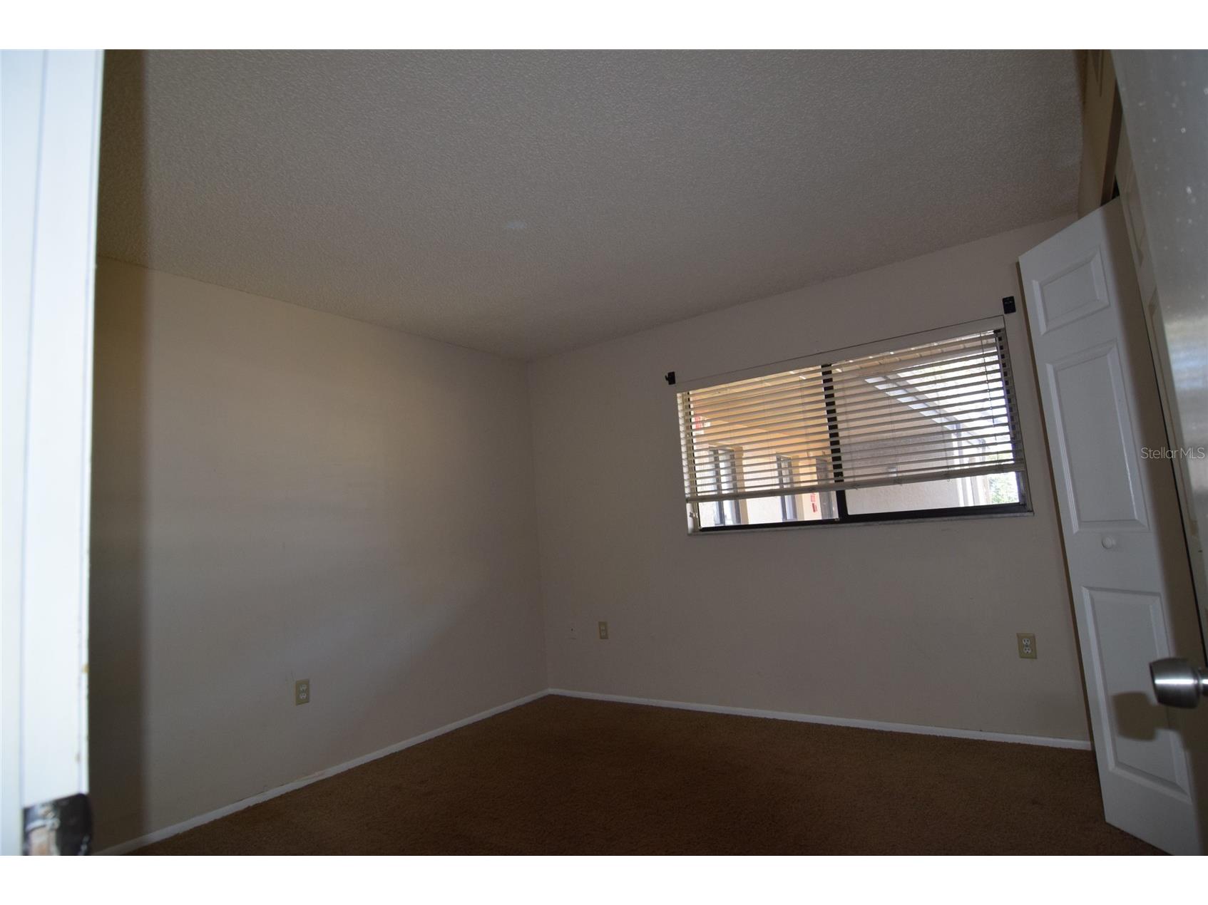 2661 Sabal Springs Circle #204 Clearwater FL 33761 TB8453935 image11