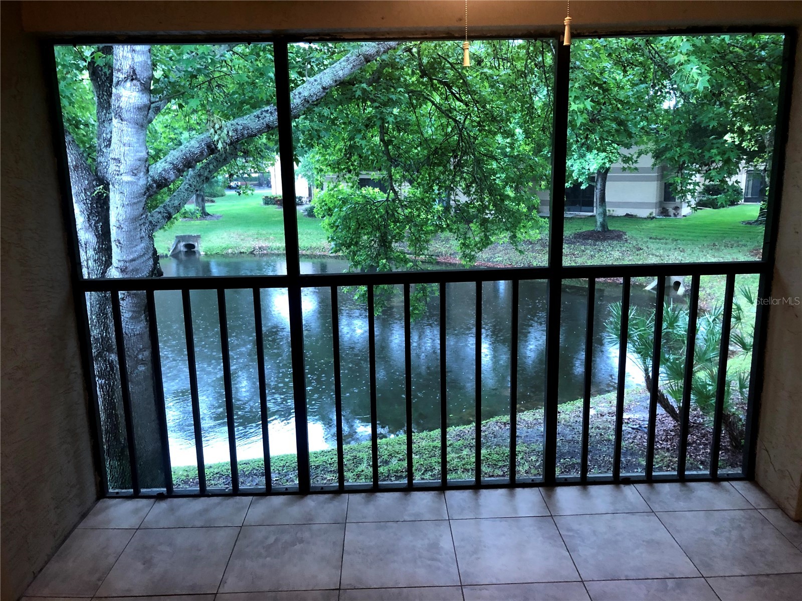 2661 Sabal Springs Circle #204 Clearwater FL 33761 TB8453935 image21