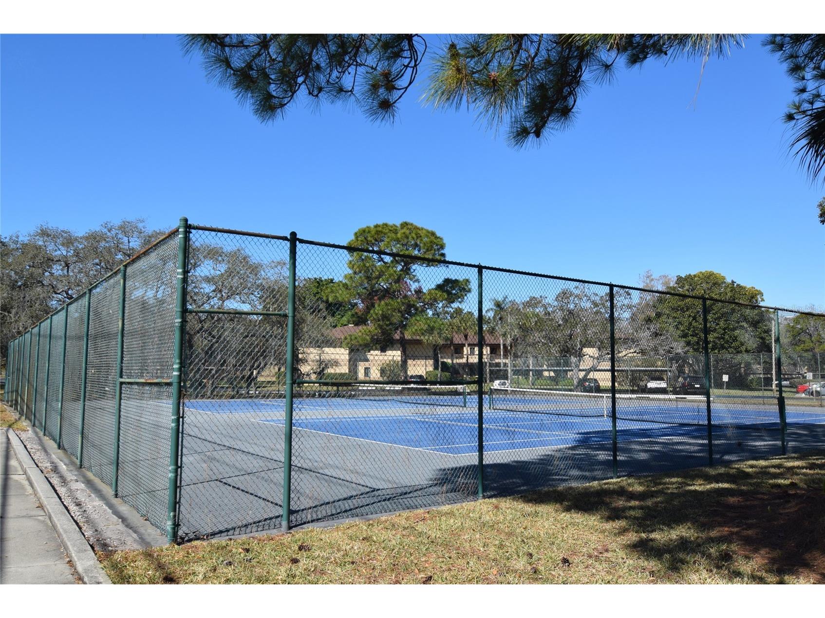 2661 Sabal Springs Circle #204 Clearwater FL 33761 TB8453935 image24