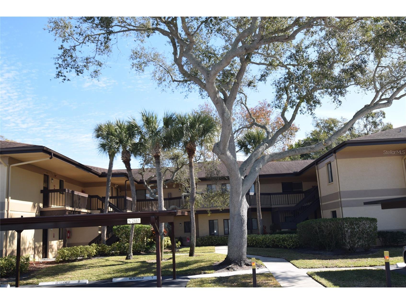2661 Sabal Springs Circle #204 Clearwater FL 33761 TB8453935 image26