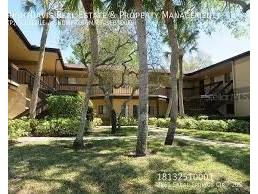 2661 Sabal Springs Circle #204 Clearwater FL 33761 TB8453935 image27