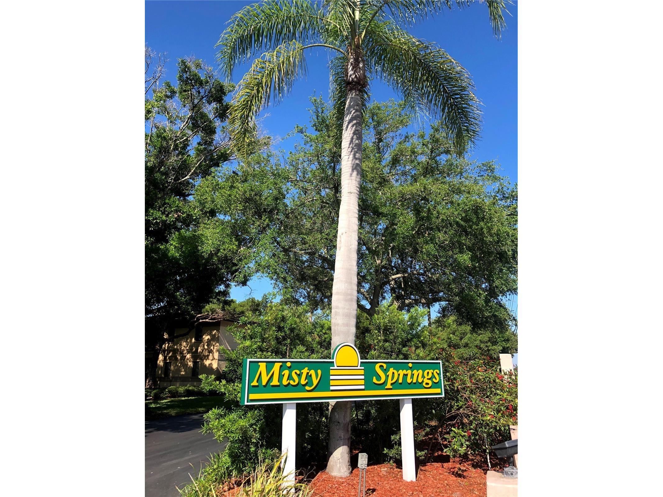 2661 Sabal Springs Circle #204 Clearwater FL 33761 TB8453935 image28