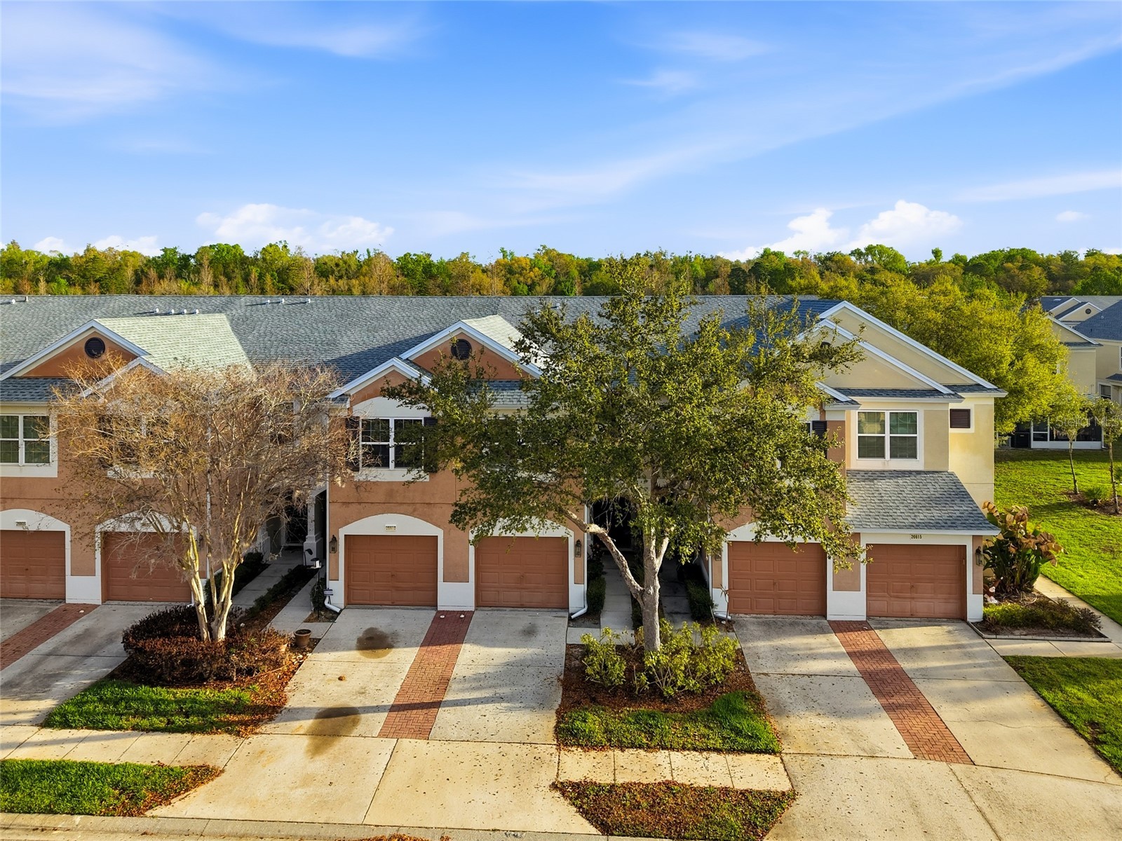 26611 Chimney Spire Lane Wesley Chapel FL 33544 TB8486987 image1