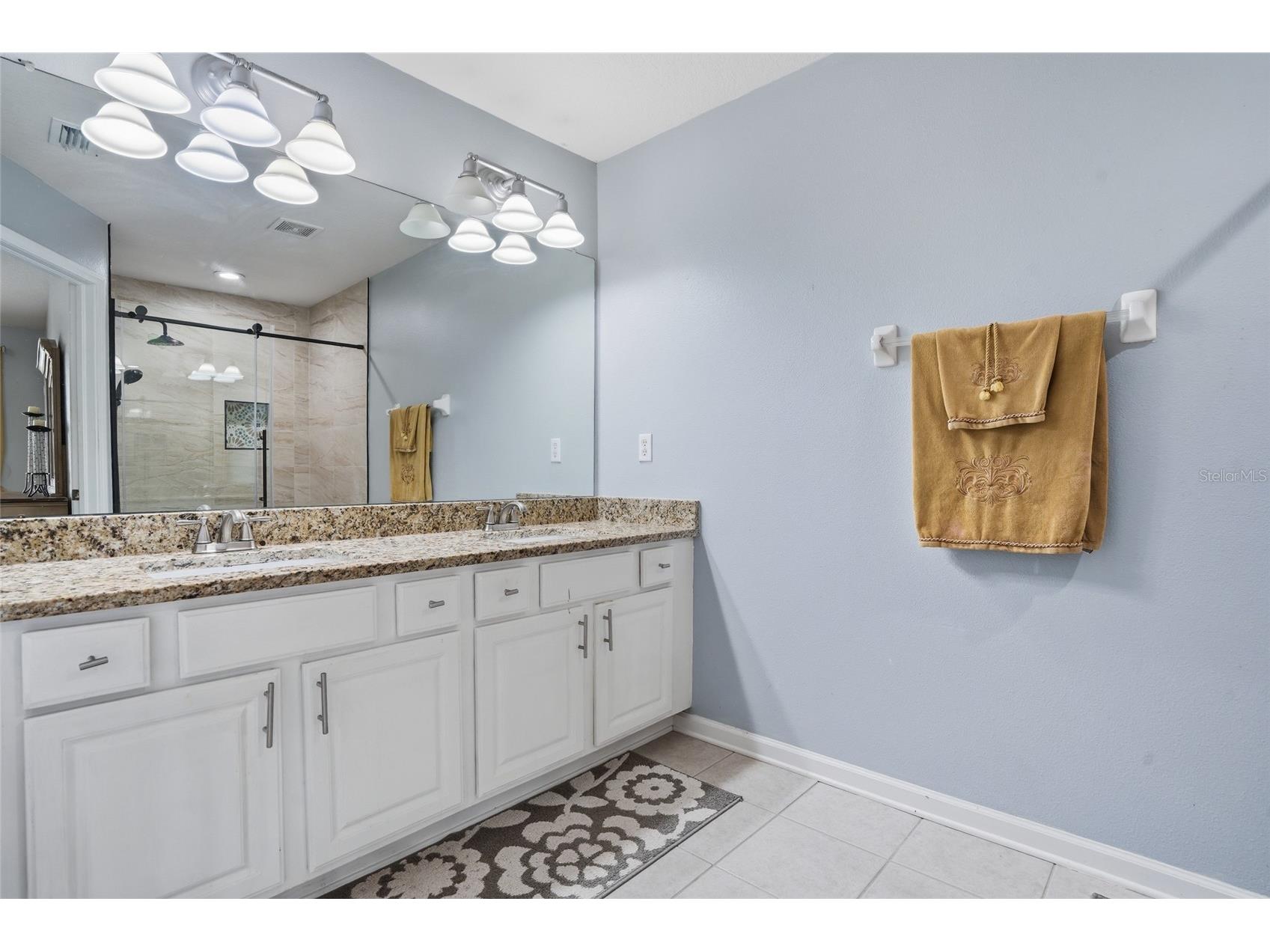 26611 Chimney Spire Lane Wesley Chapel FL 33544 TB8486987 image15
