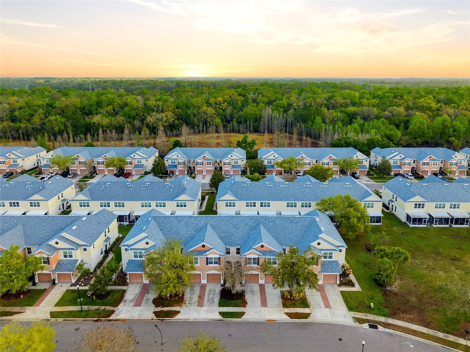 26611 Chimney Spire Lane Wesley Chapel FL 33544 TB8486987 image29