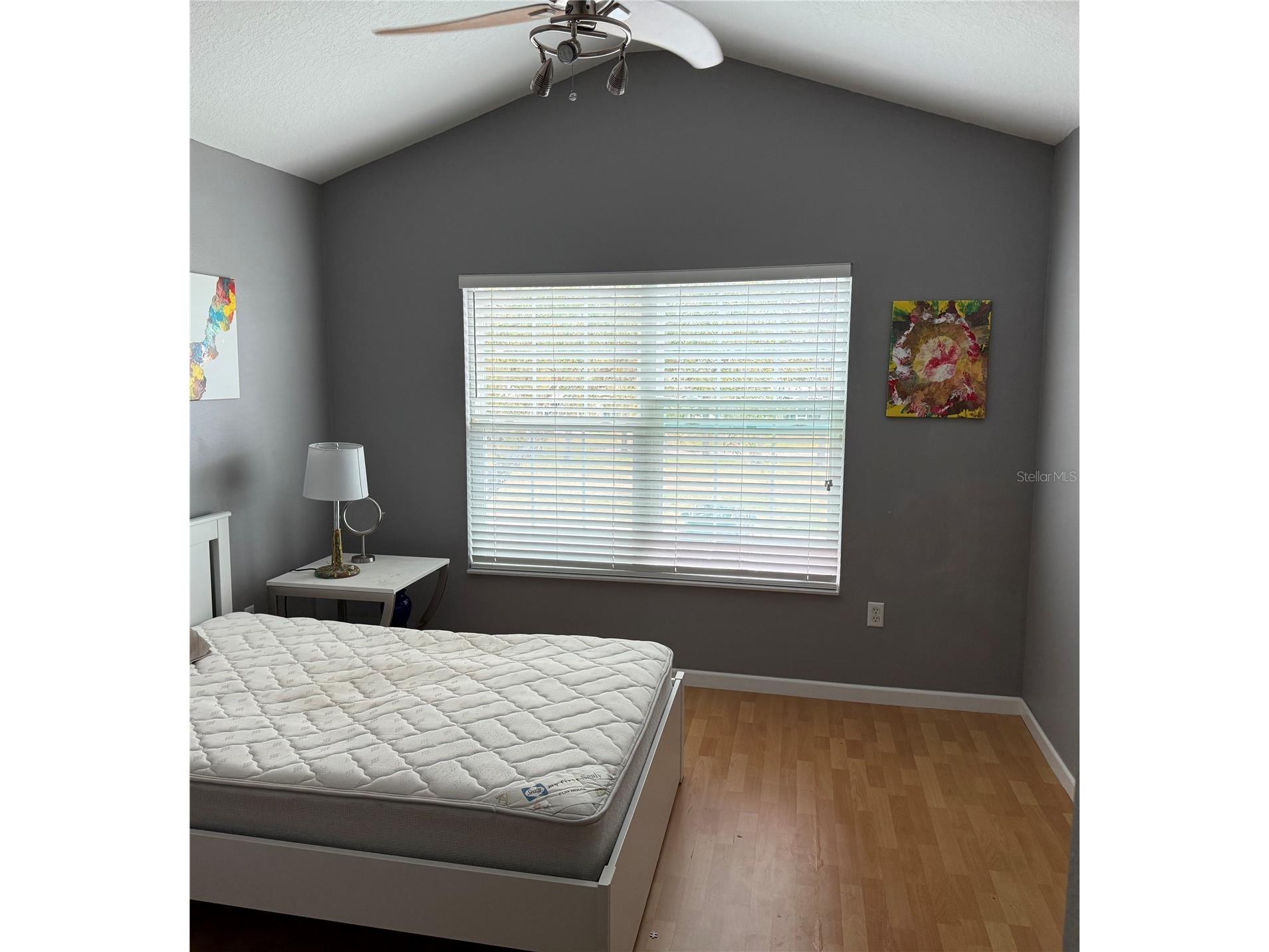 26612 Chimney Spire Lane Wesley Chapel FL 33544 W7883234 image3