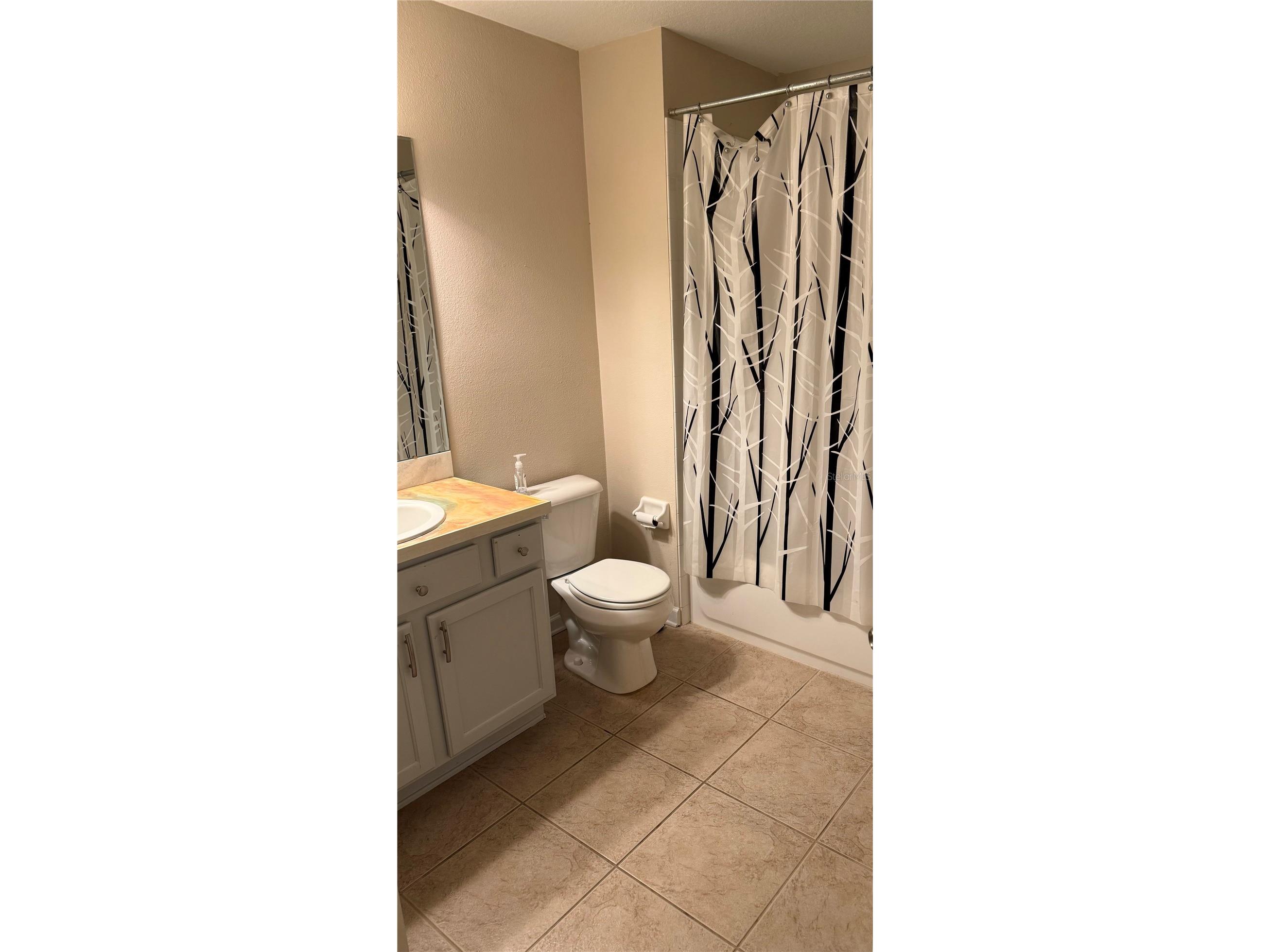 26612 Chimney Spire Lane Wesley Chapel FL 33544 W7883234 image4