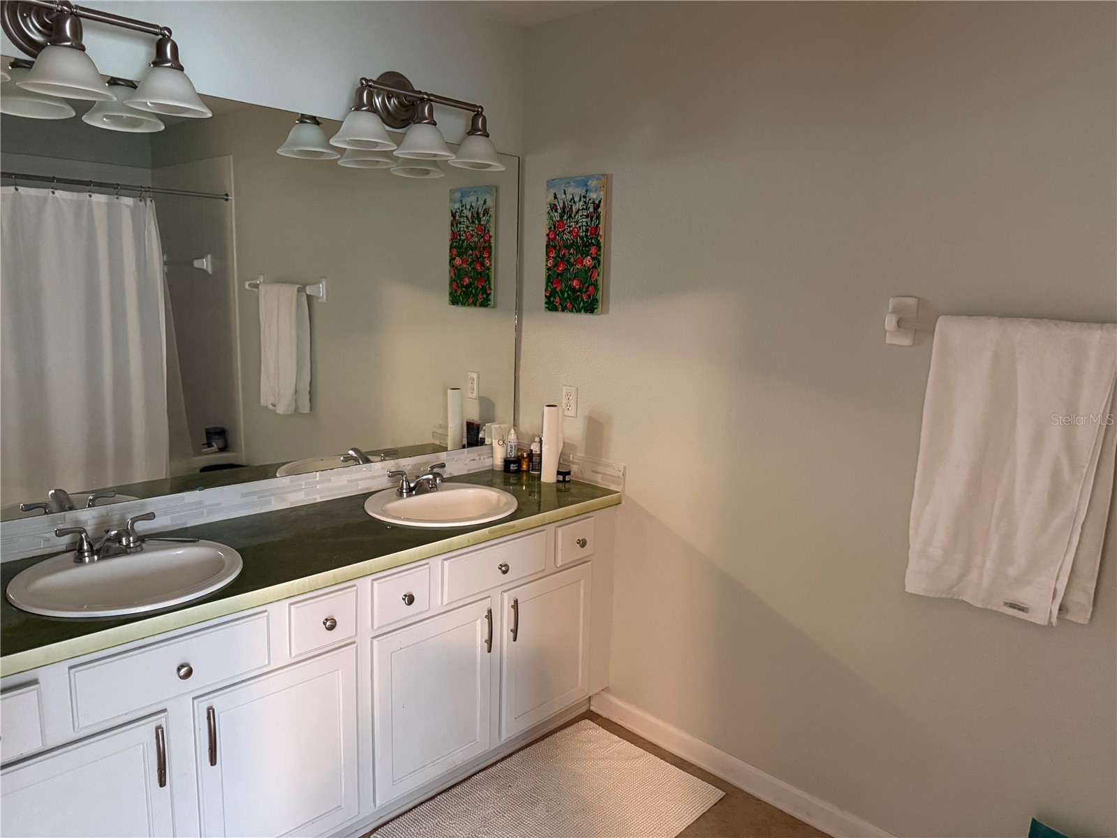 26612 Chimney Spire Lane Wesley Chapel FL 33544 W7883234 image6