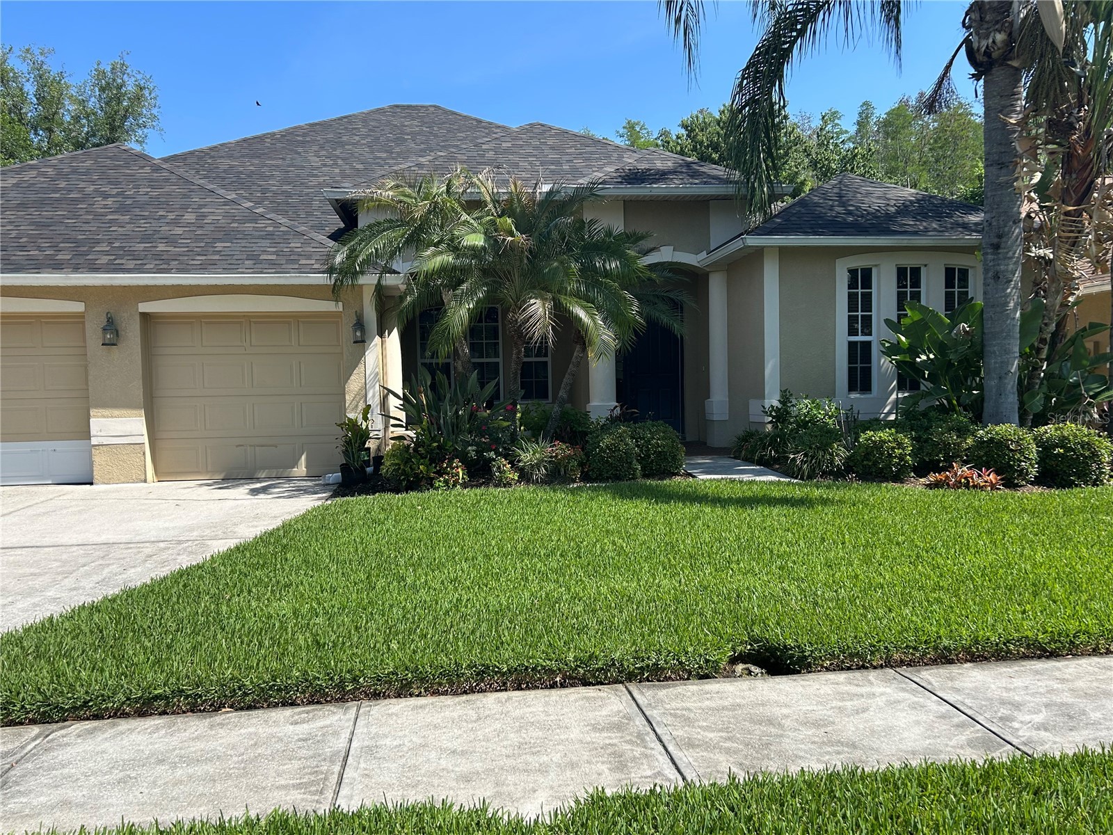 26612 Shoregrass Drive Wesley Chapel FL 33544 TB8499824 image1