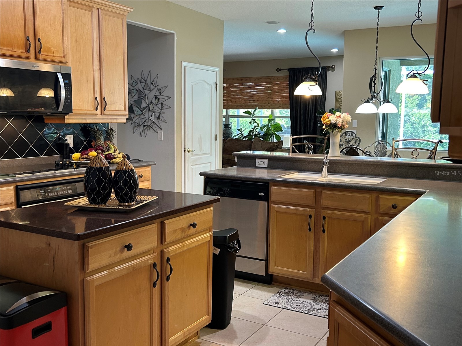 26612 Shoregrass Drive Wesley Chapel FL 33544 TB8499824 image11
