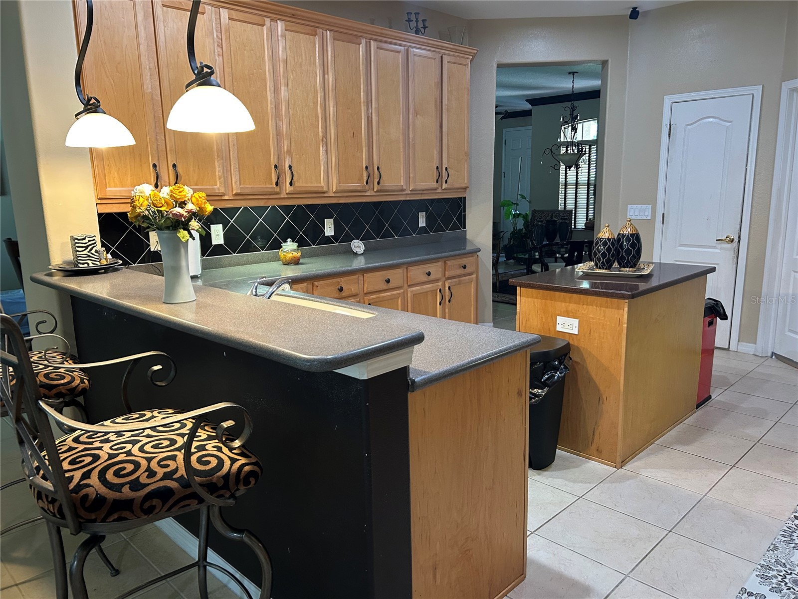 26612 Shoregrass Drive Wesley Chapel FL 33544 TB8499824 image14
