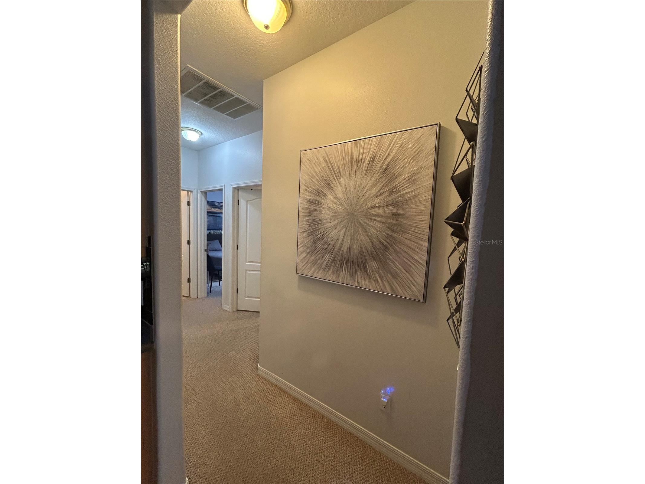 26612 Shoregrass Drive Wesley Chapel FL 33544 TB8499824 image15