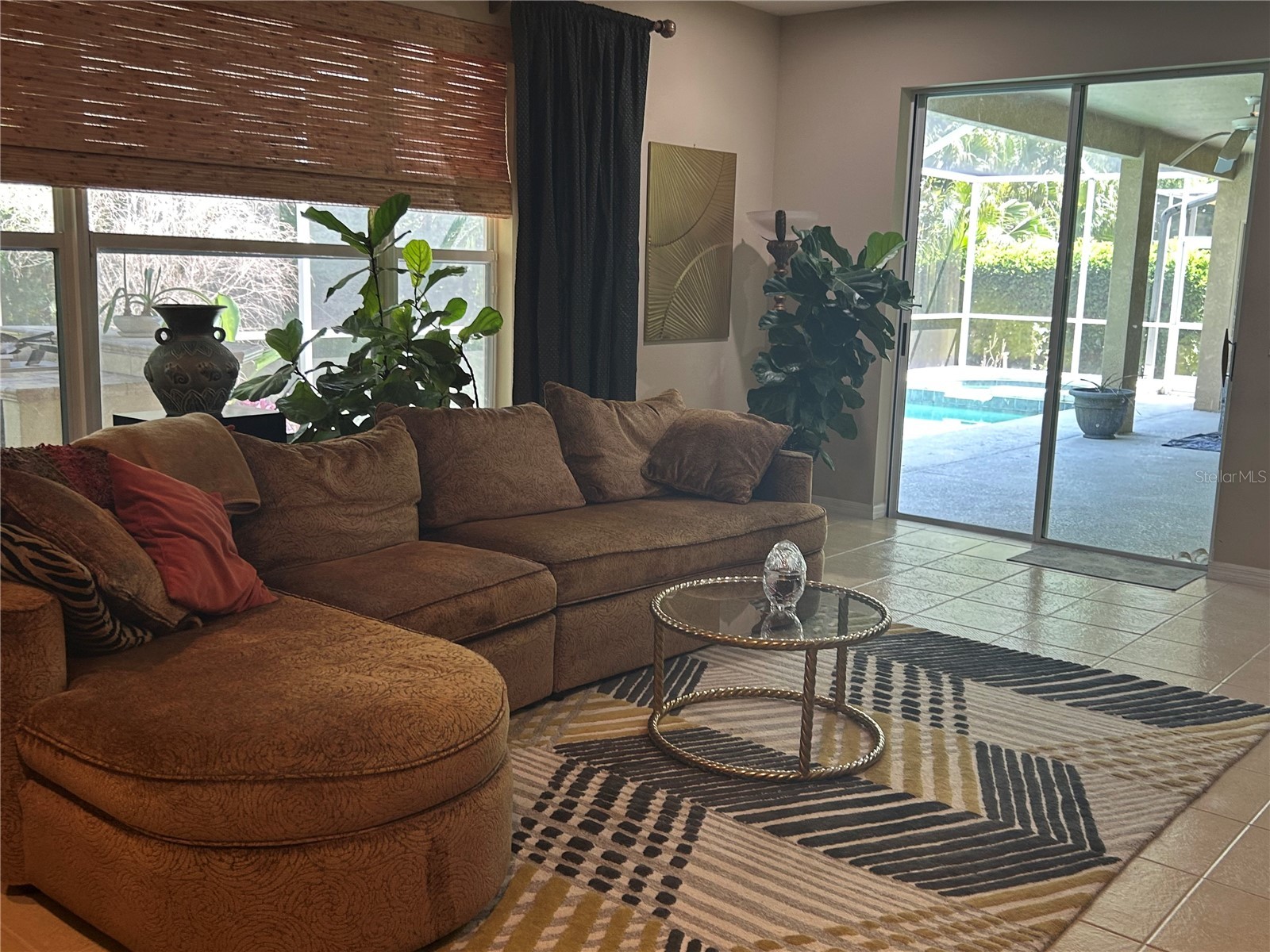26612 Shoregrass Drive Wesley Chapel FL 33544 TB8499824 image19