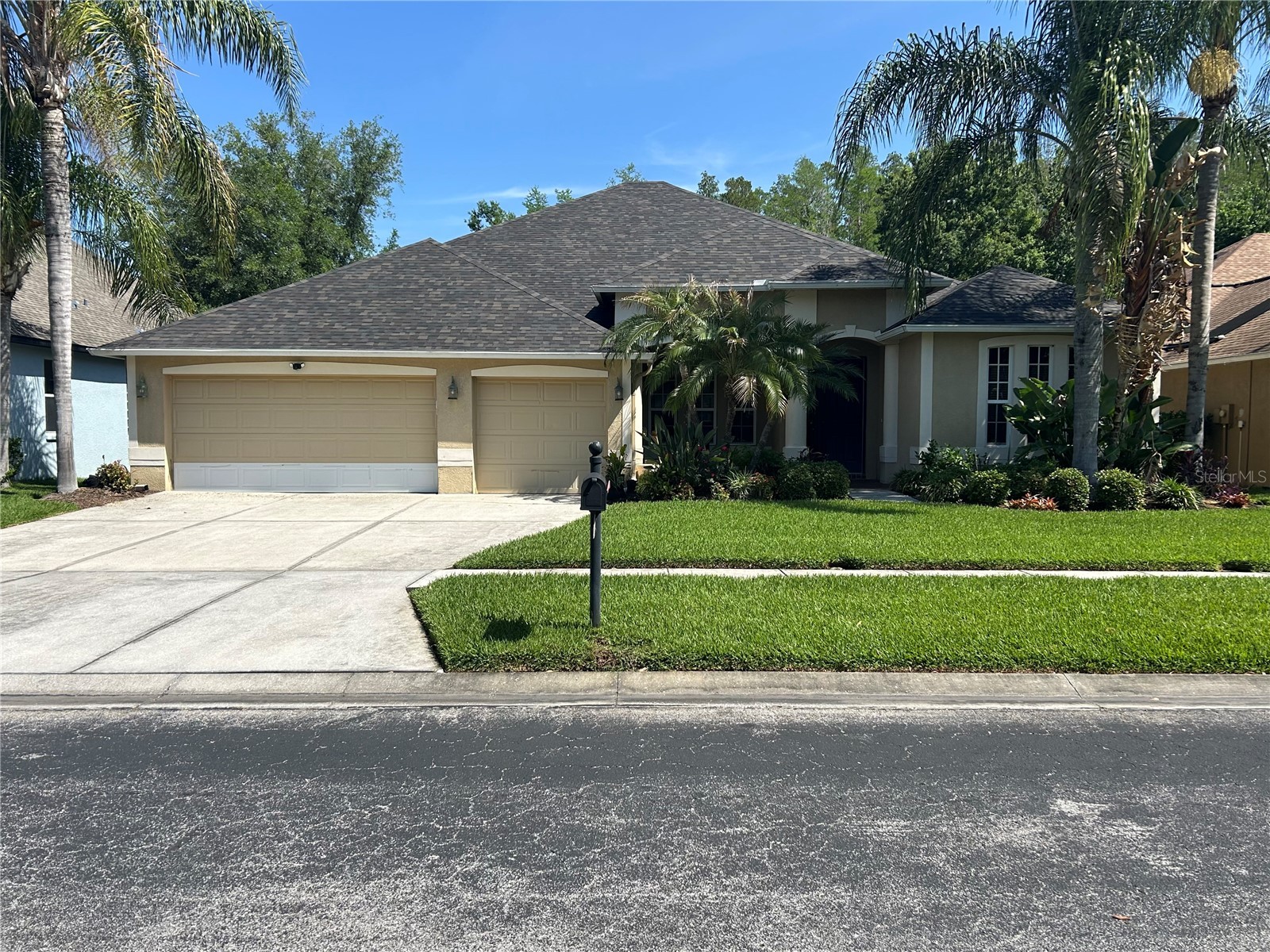 26612 Shoregrass Drive Wesley Chapel FL 33544 TB8499824 image2