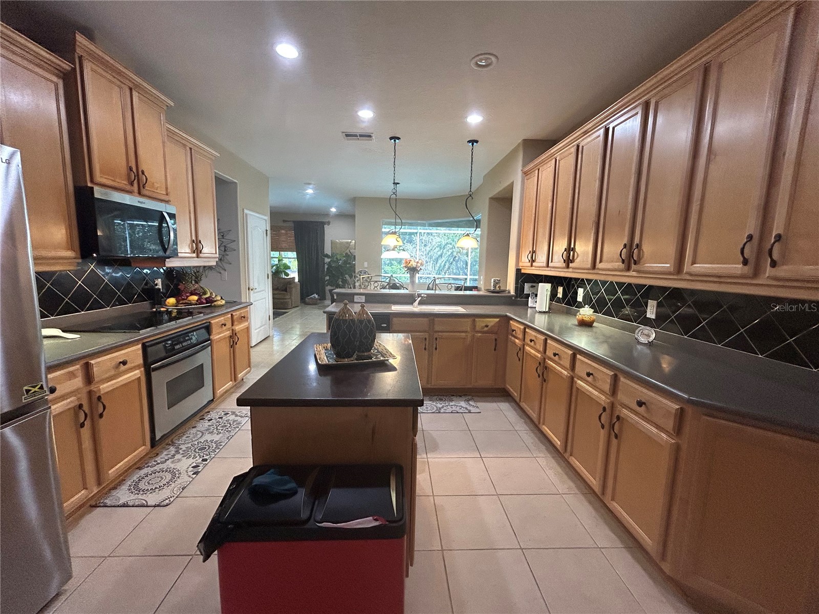 26612 Shoregrass Drive Wesley Chapel FL 33544 TB8499824 image21