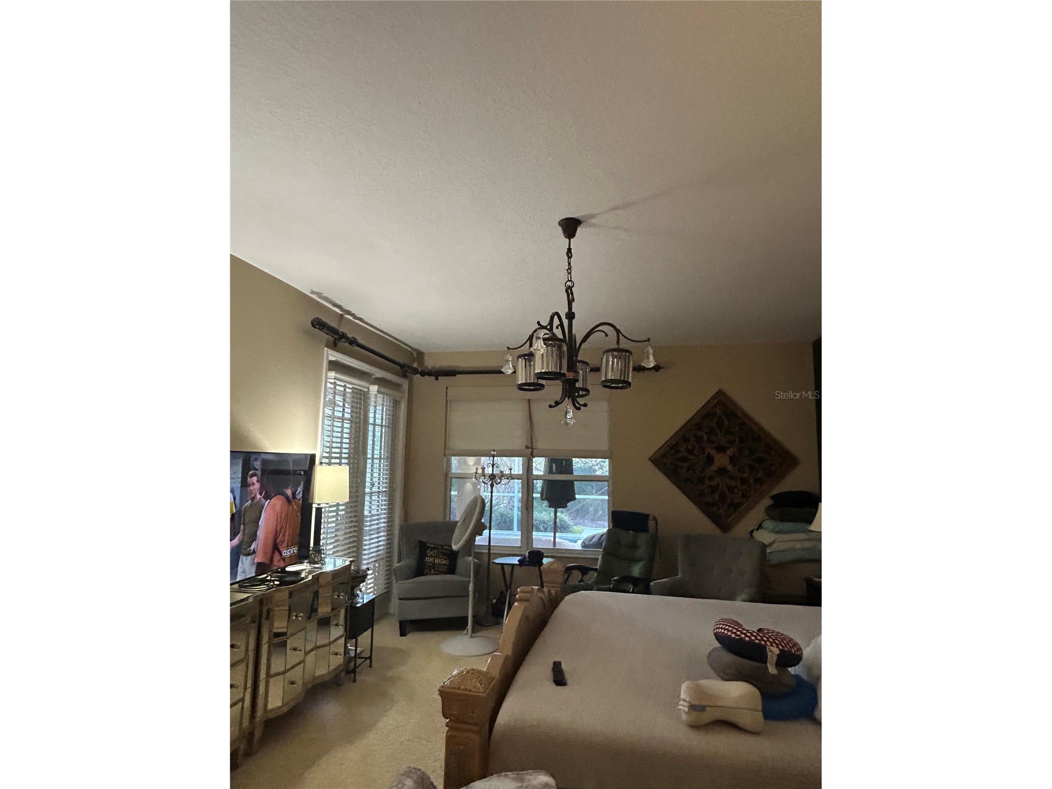 26612 Shoregrass Drive Wesley Chapel FL 33544 TB8499824 image22