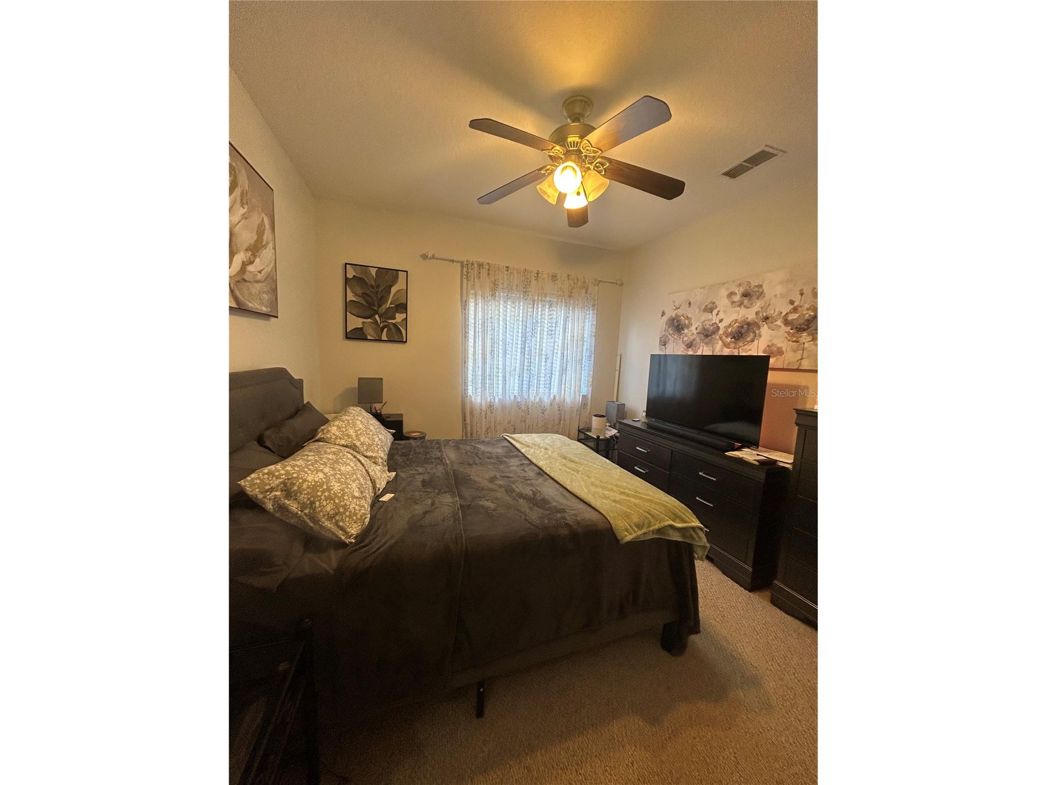 26612 Shoregrass Drive Wesley Chapel FL 33544 TB8499824 image29