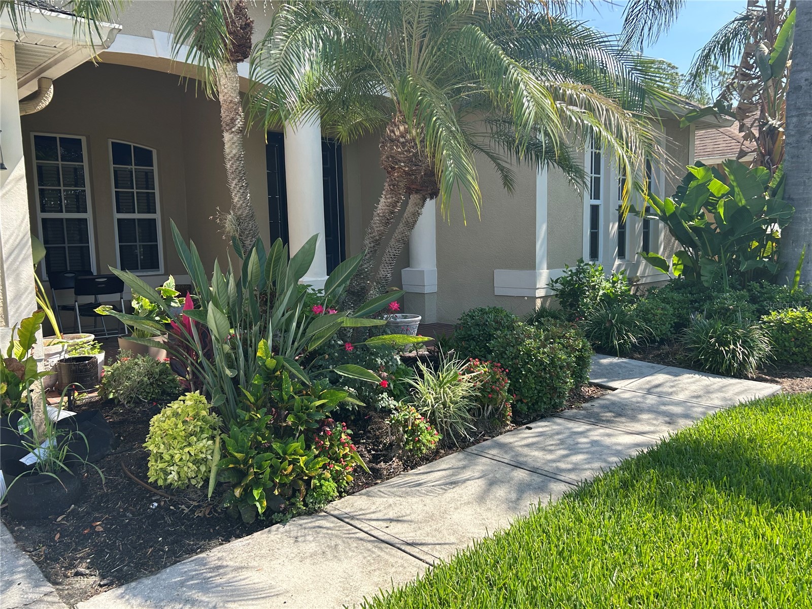 26612 Shoregrass Drive Wesley Chapel FL 33544 TB8499824 image3