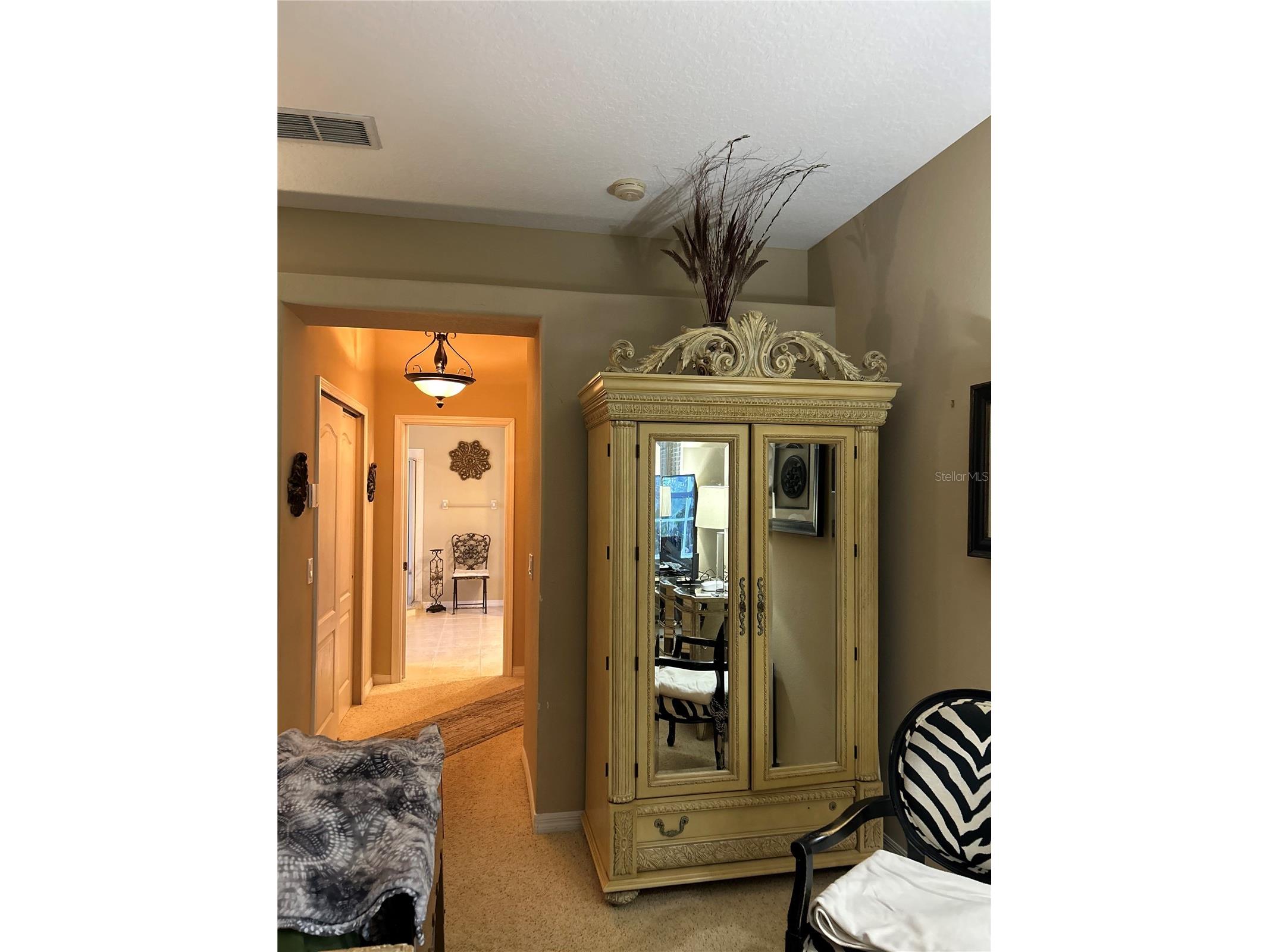 26612 Shoregrass Drive Wesley Chapel FL 33544 TB8499824 image30