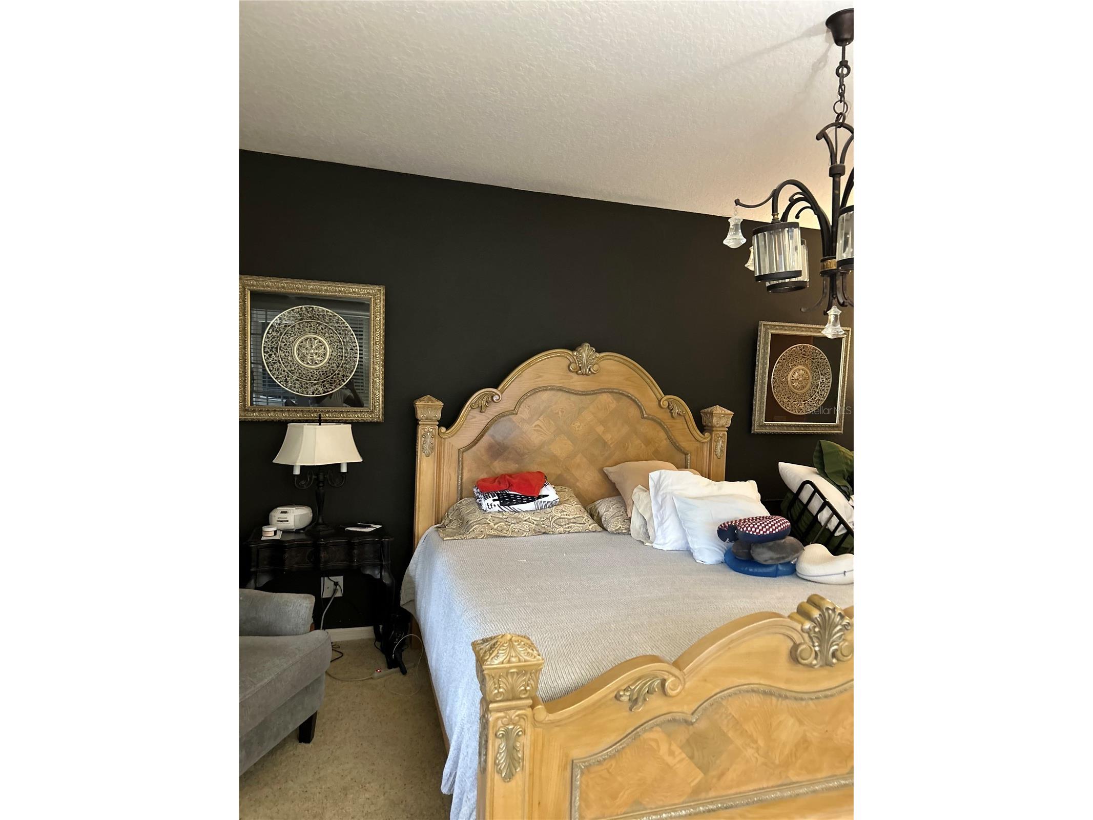 26612 Shoregrass Drive Wesley Chapel FL 33544 TB8499824 image31