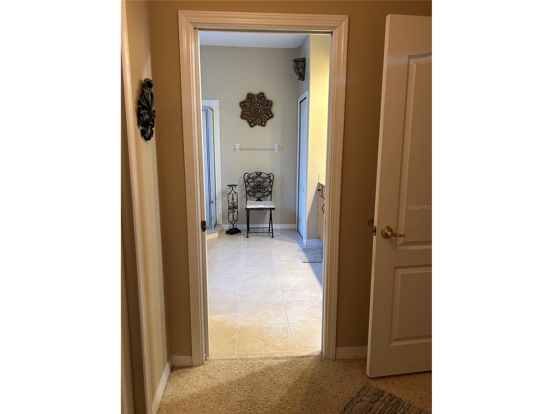 26612 Shoregrass Drive Wesley Chapel FL 33544 TB8499824 image32