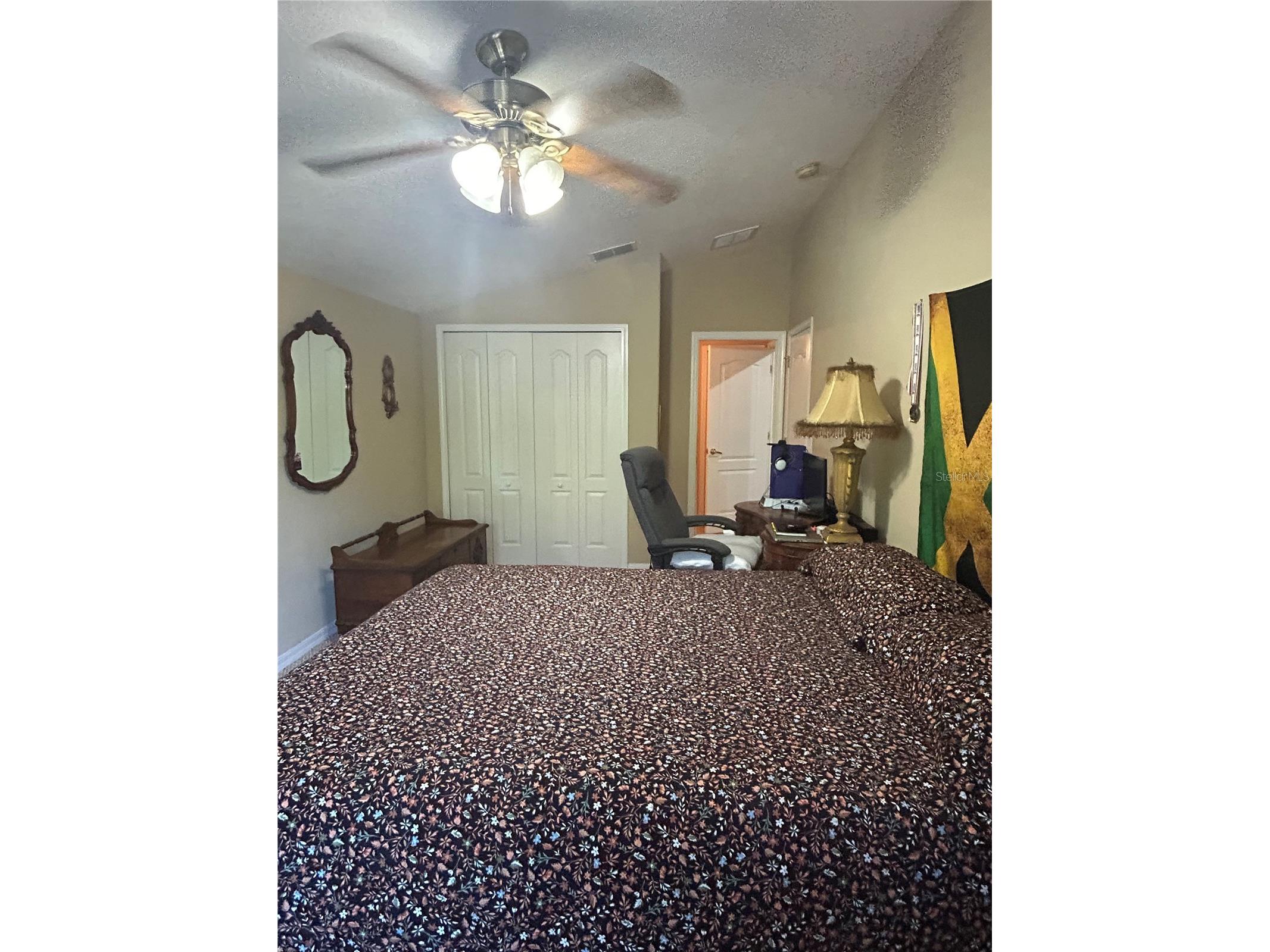 26612 Shoregrass Drive Wesley Chapel FL 33544 TB8499824 image33