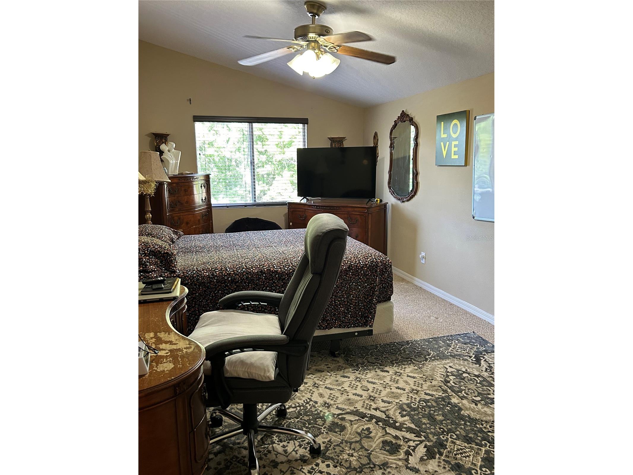 26612 Shoregrass Drive Wesley Chapel FL 33544 TB8499824 image35