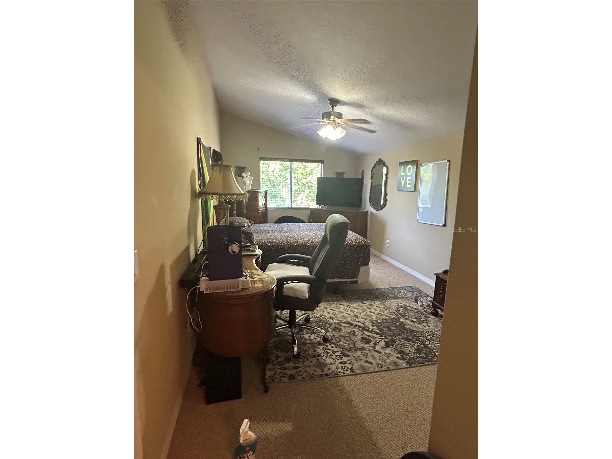 26612 Shoregrass Drive Wesley Chapel FL 33544 TB8499824 image36