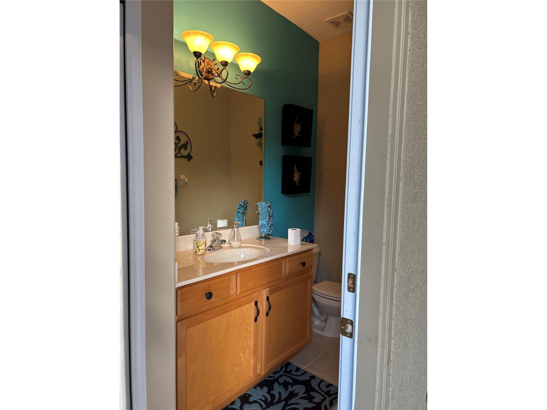 26612 Shoregrass Drive Wesley Chapel FL 33544 TB8499824 image40