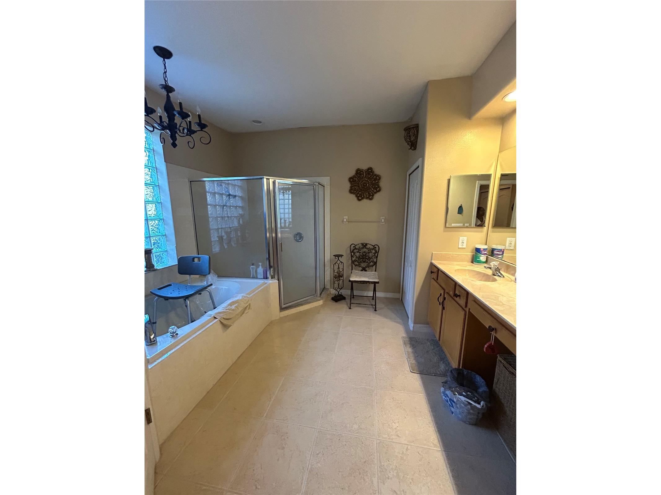 26612 Shoregrass Drive Wesley Chapel FL 33544 TB8499824 image42