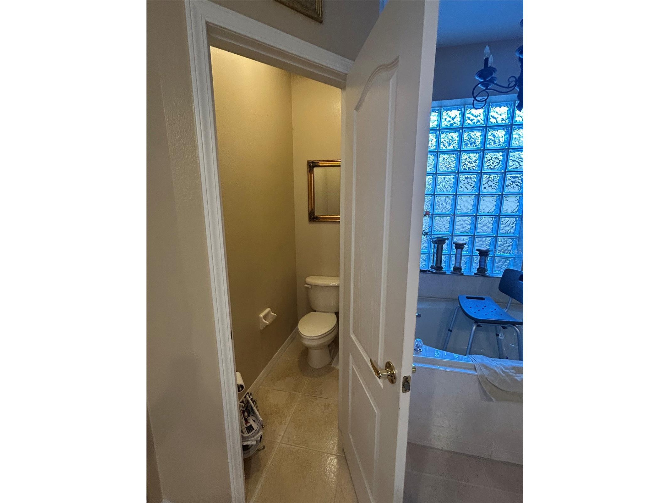 26612 Shoregrass Drive Wesley Chapel FL 33544 TB8499824 image43