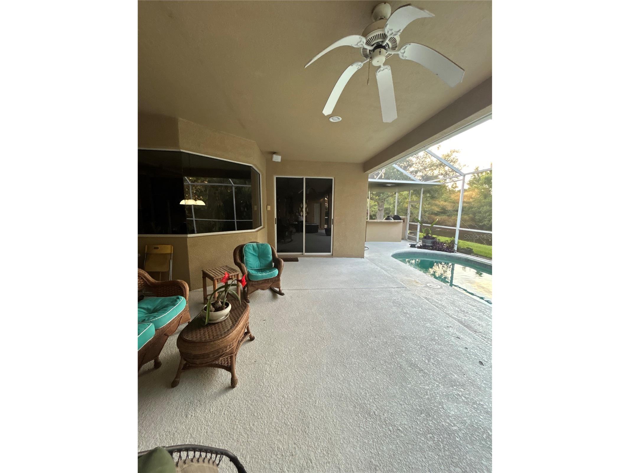 26612 Shoregrass Drive Wesley Chapel FL 33544 TB8499824 image45