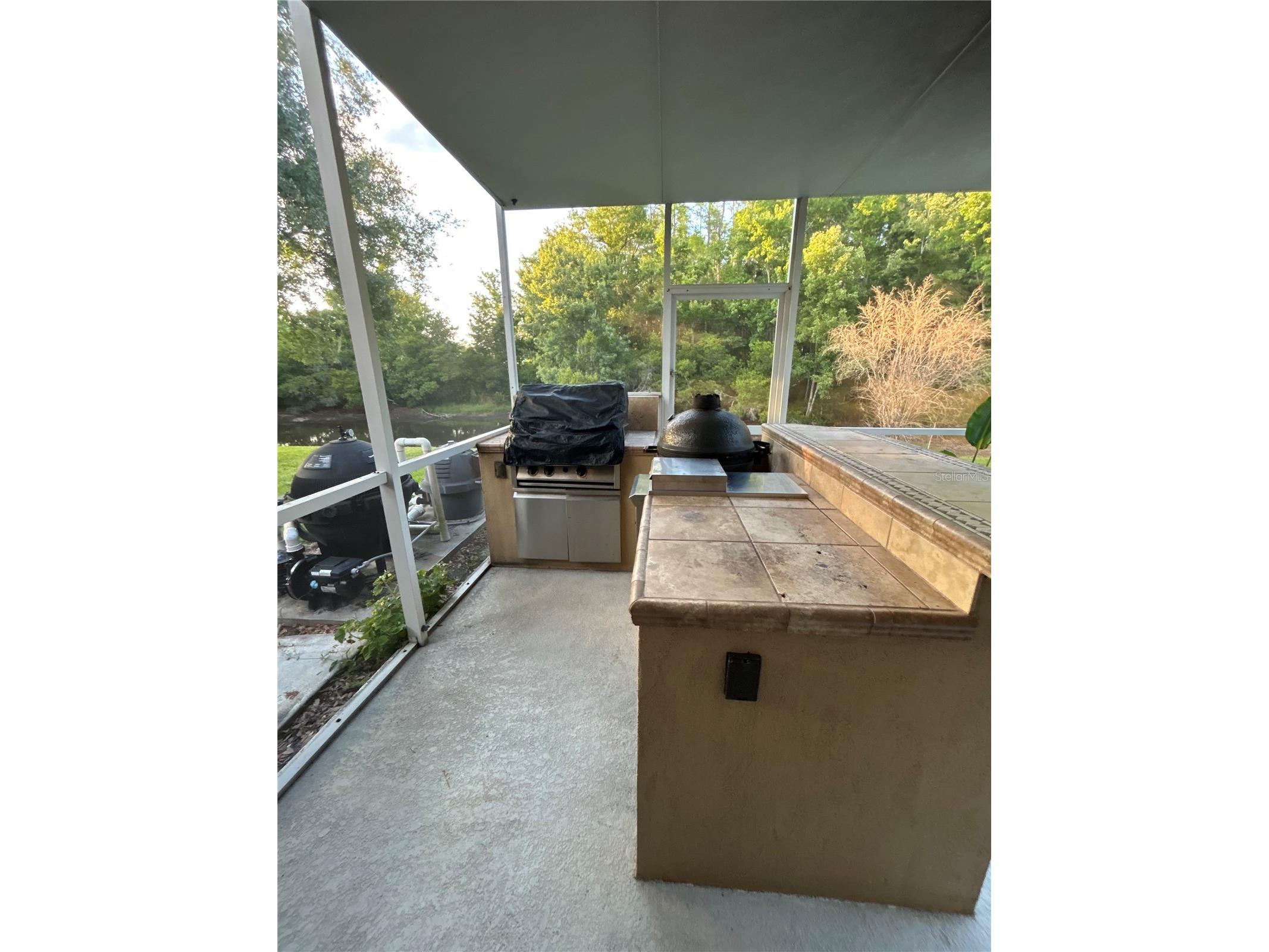 26612 Shoregrass Drive Wesley Chapel FL 33544 TB8499824 image46