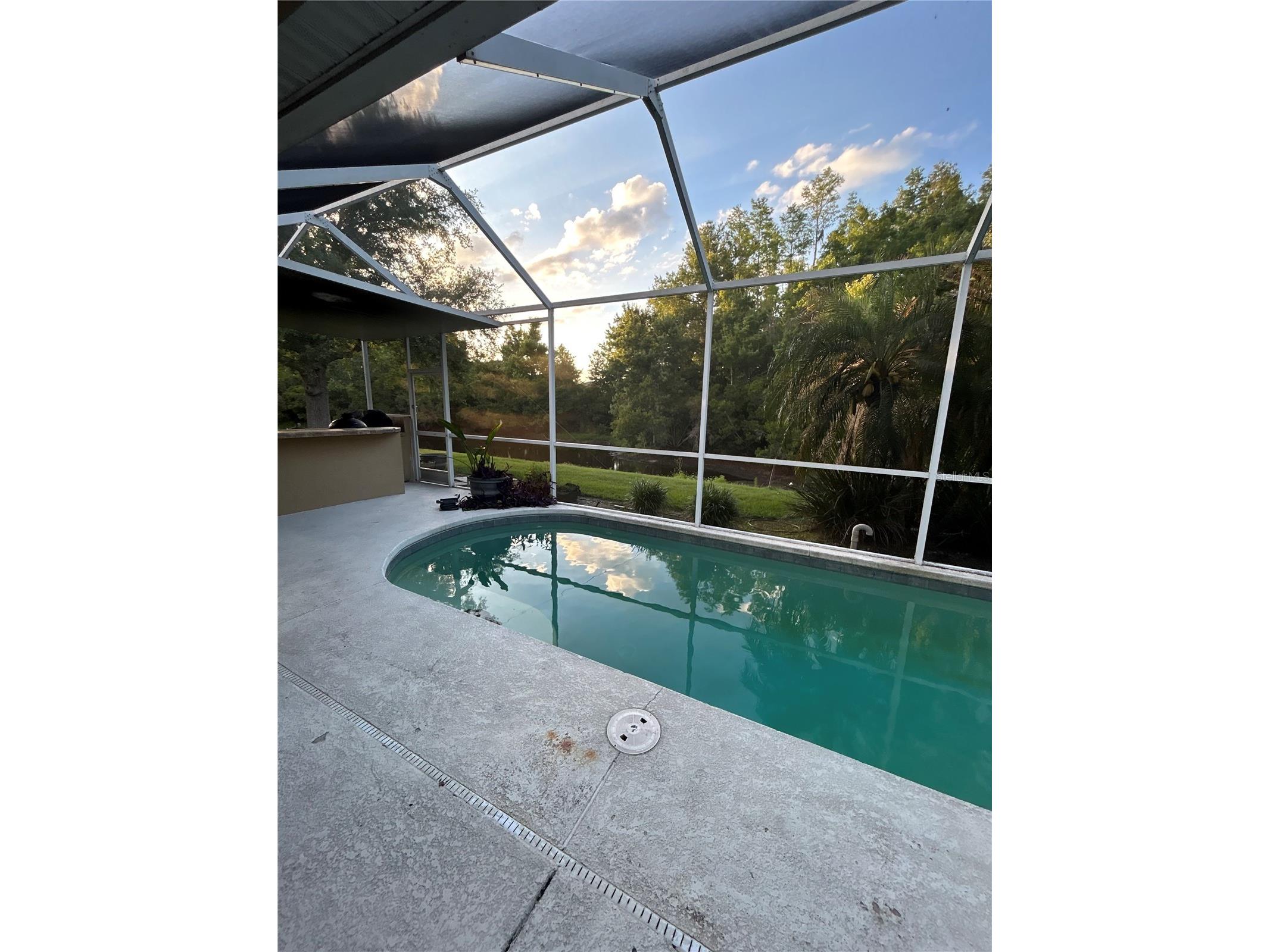 26612 Shoregrass Drive Wesley Chapel FL 33544 TB8499824 image48
