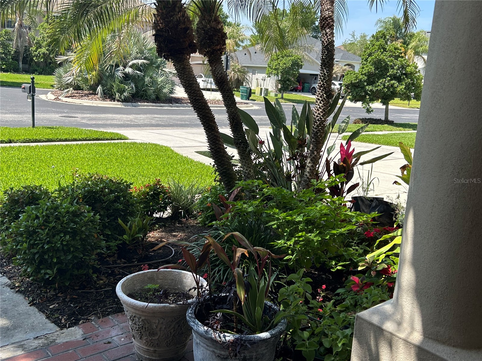 26612 Shoregrass Drive Wesley Chapel FL 33544 TB8499824 image5