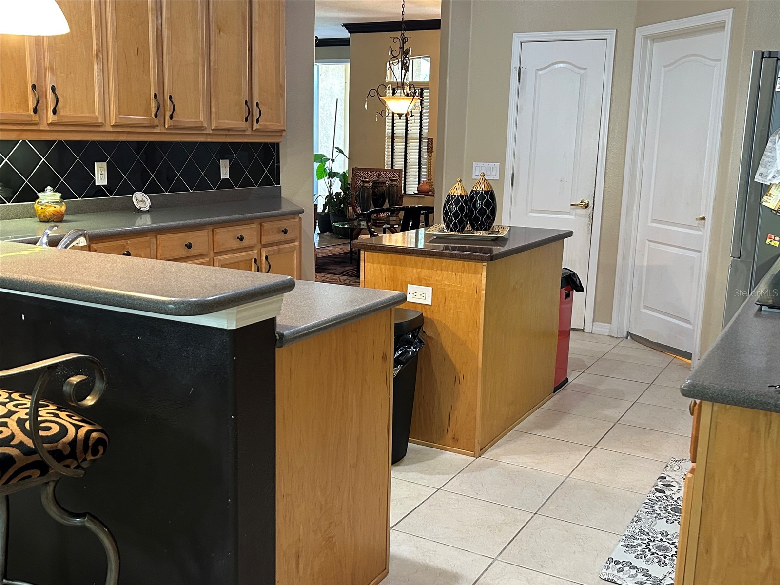 26612 Shoregrass Drive Wesley Chapel FL 33544 TB8499824 image8