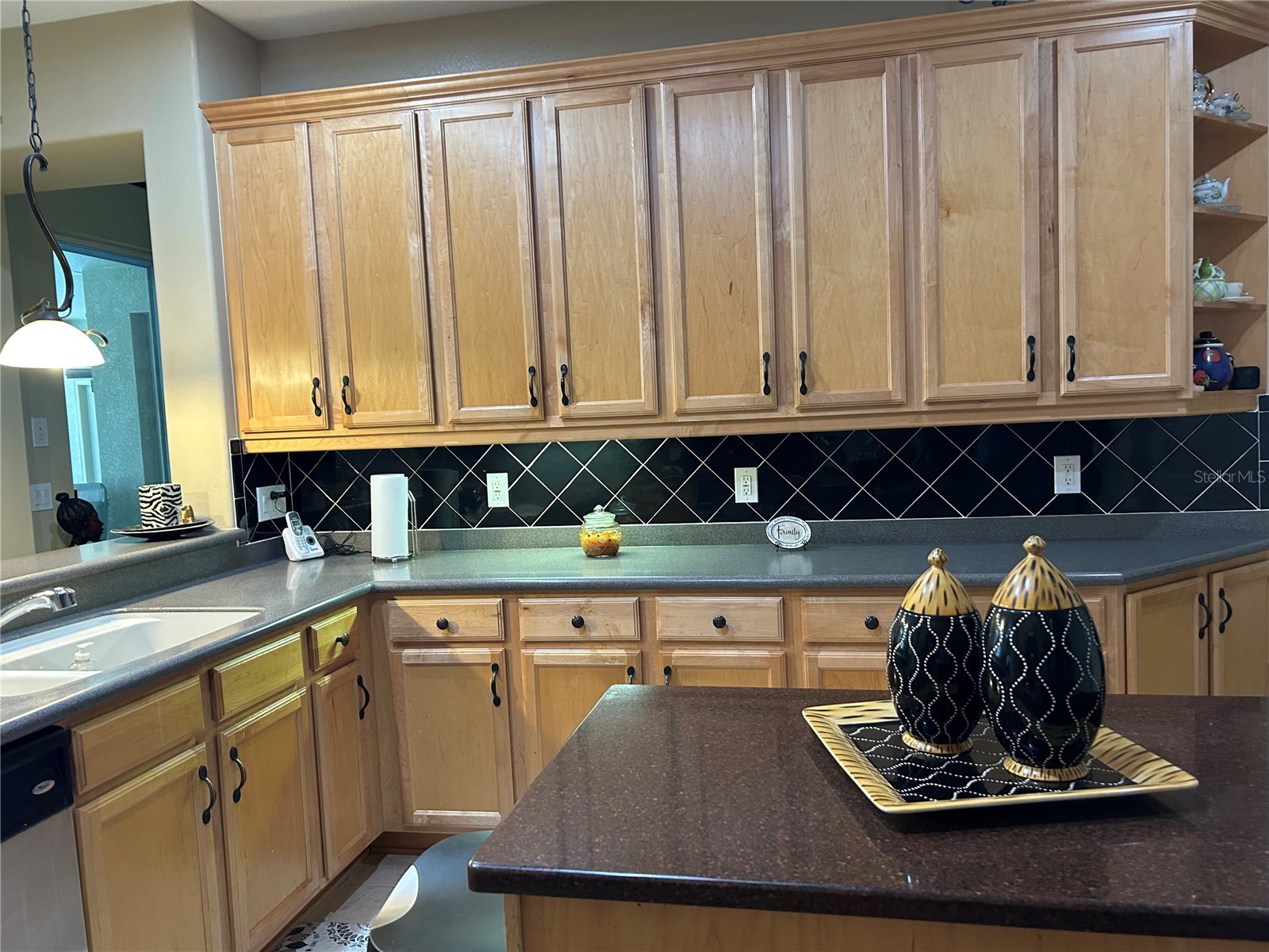 26612 Shoregrass Drive Wesley Chapel FL 33544 TB8499824 image9