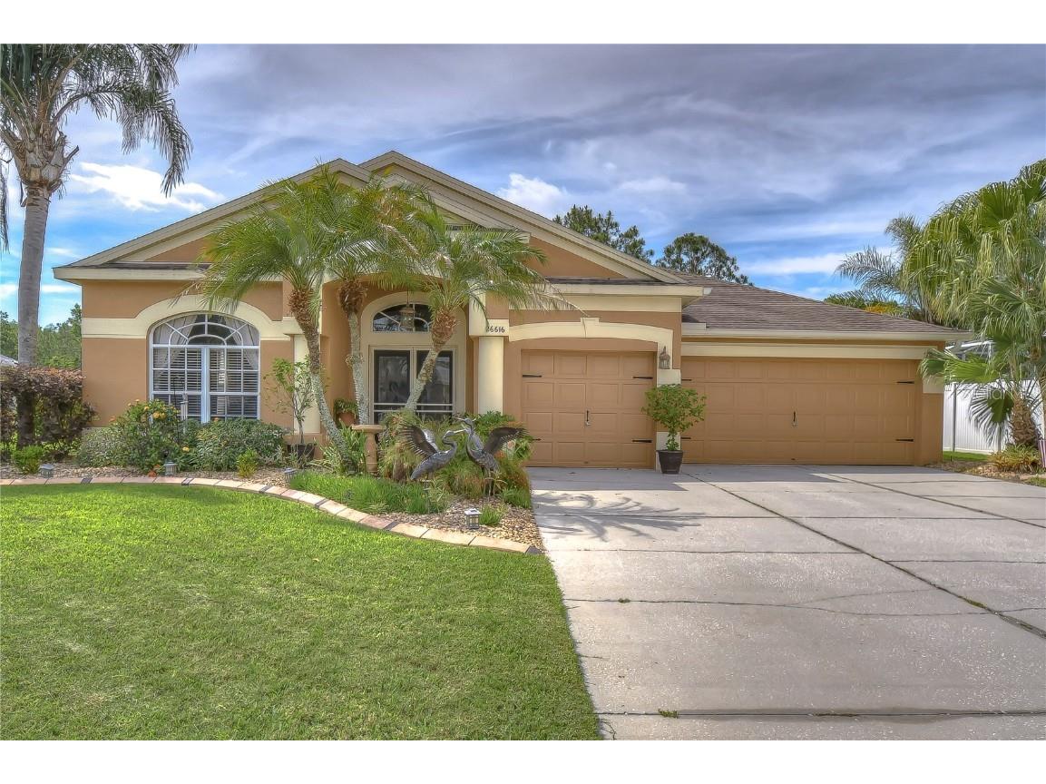 26616 Tim Tam Place Wesley Chapel FL 33544 T3370993 image1