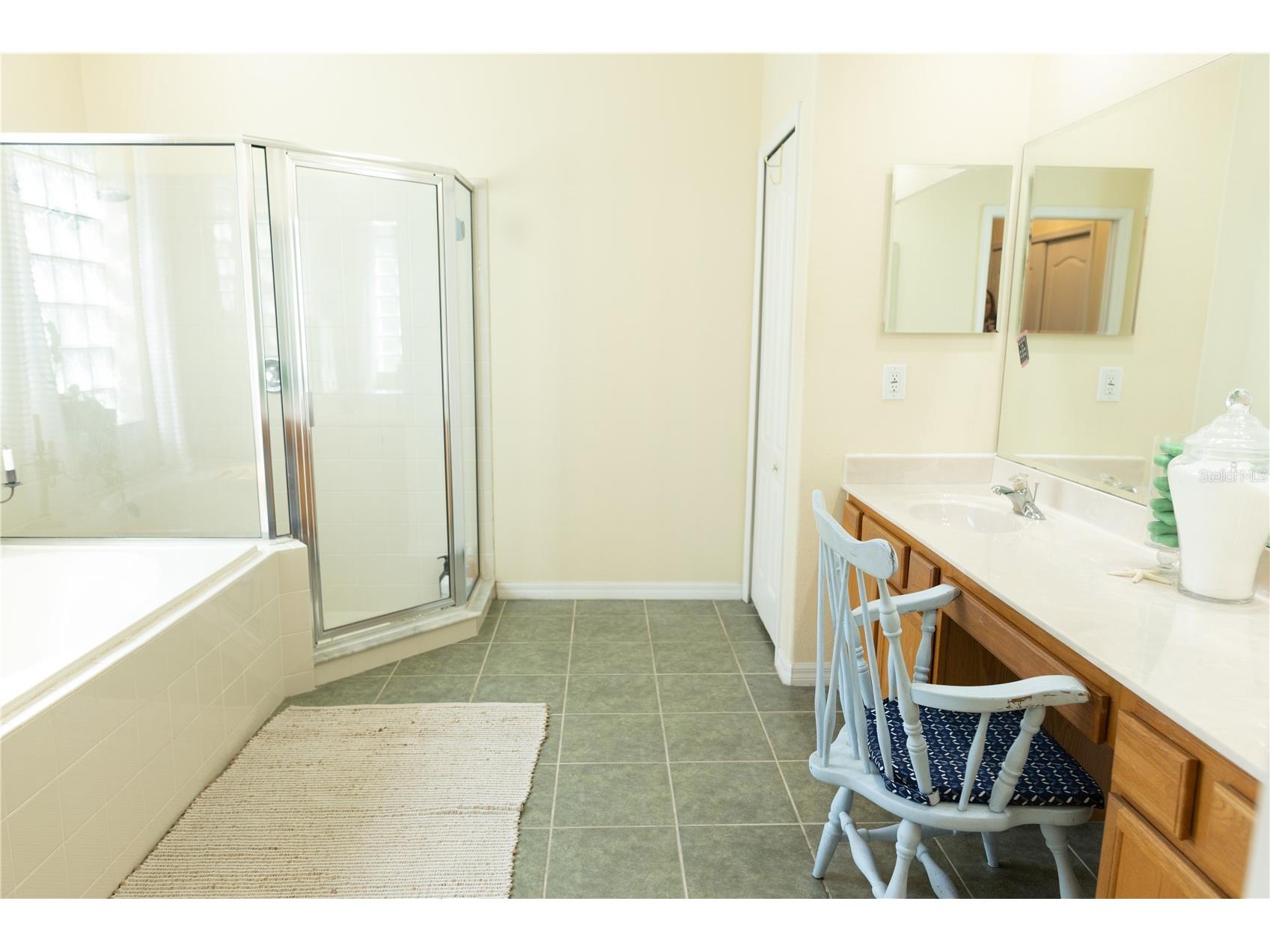 26620 Shoregrass Drive Wesley Chapel FL 33544 G5098399 image22